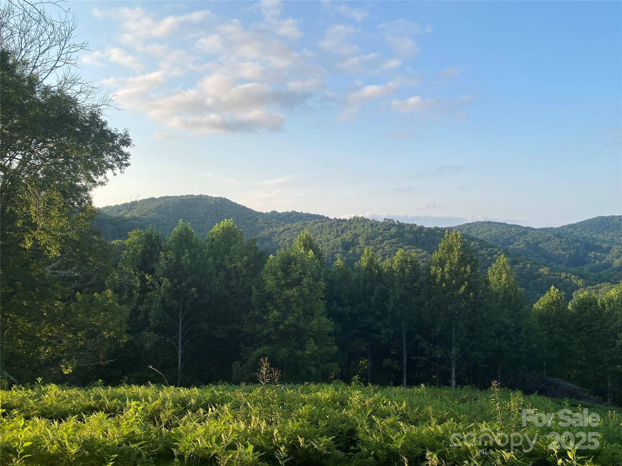 Mars Hill, NC 28754,TBD Smith Creek RD