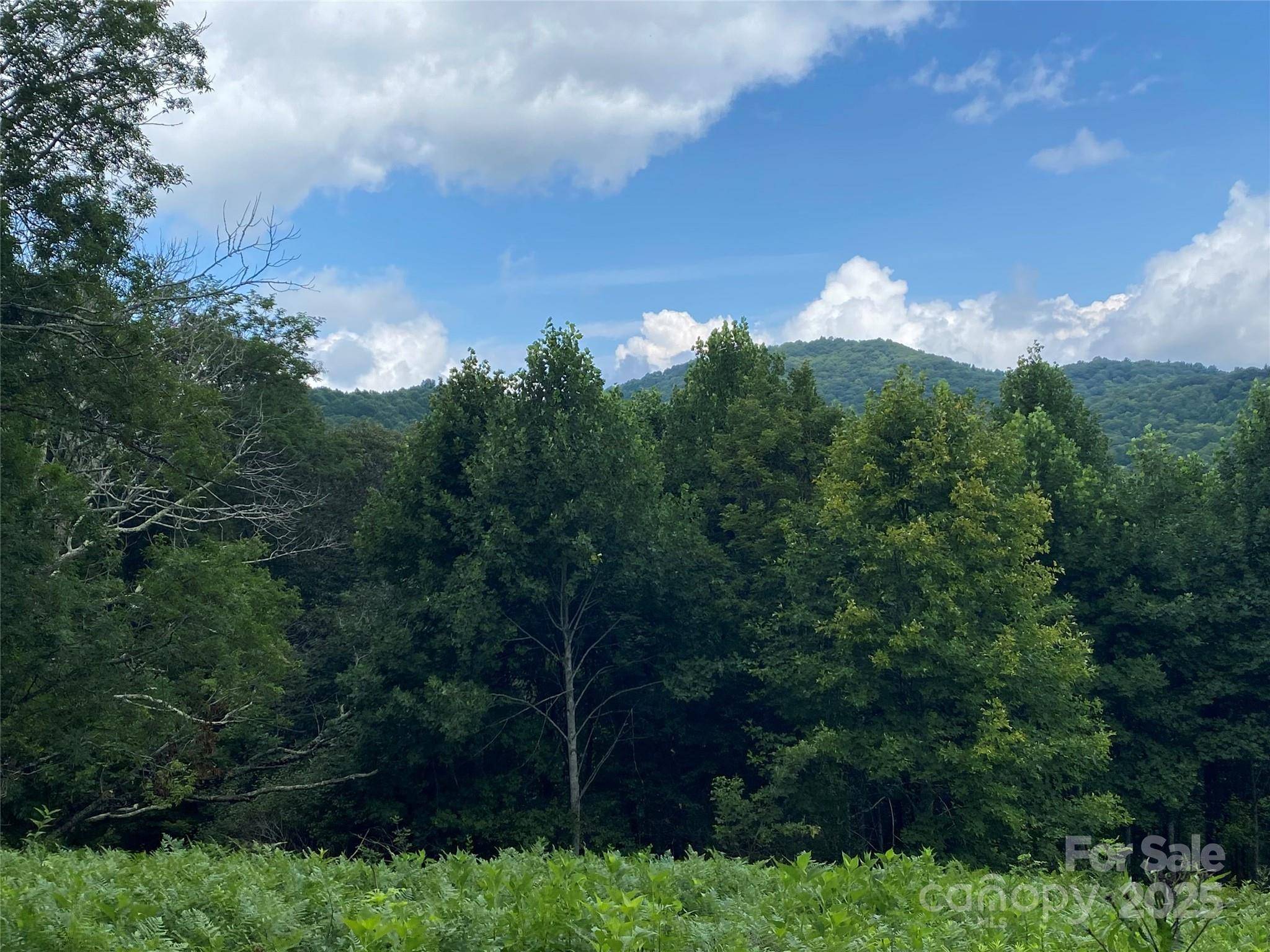 Mars Hill, NC 28754,TBD Smith Creek RD #2