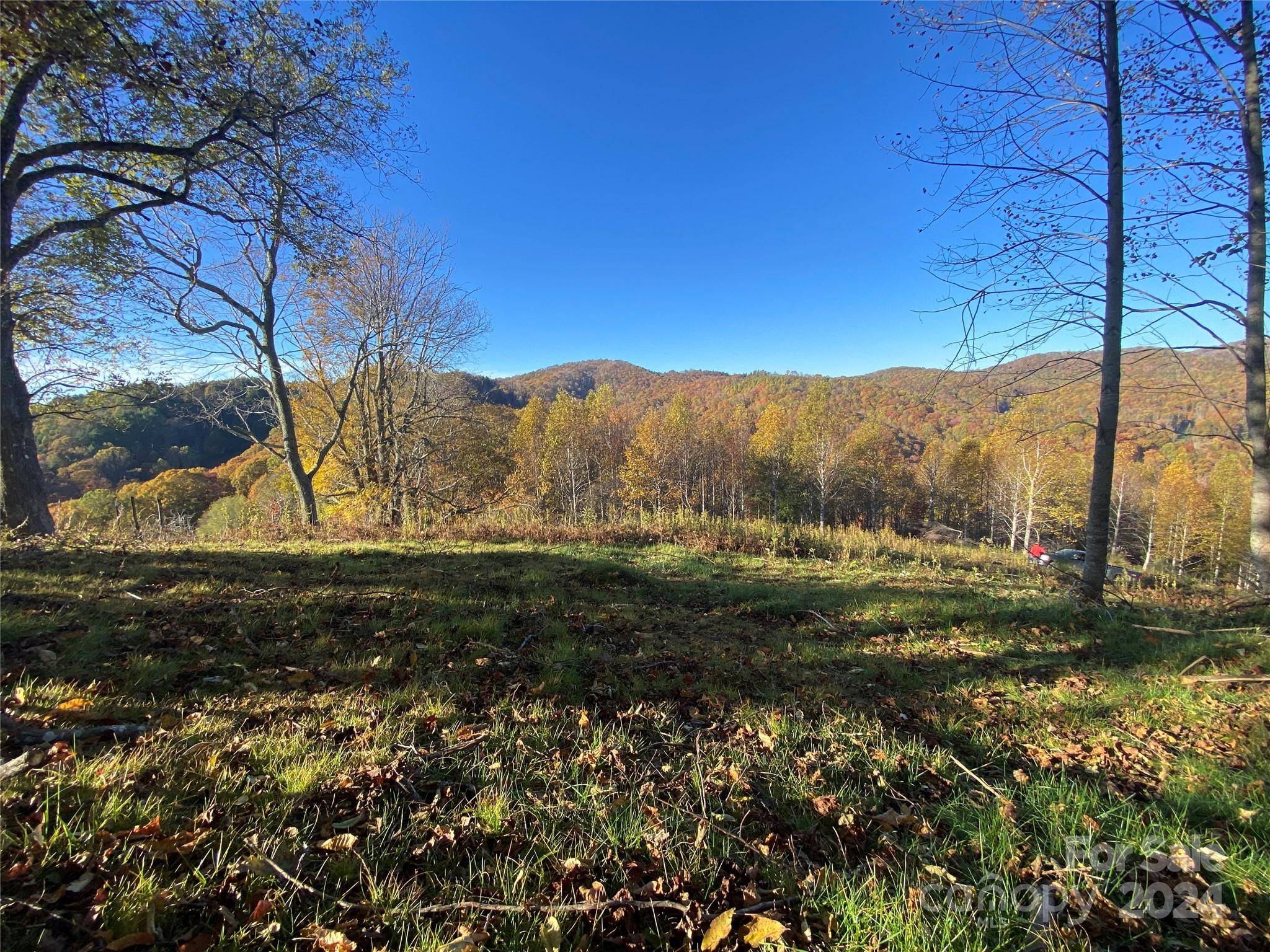 Mars Hill, NC 28754,TBD Smith Creek RD #2