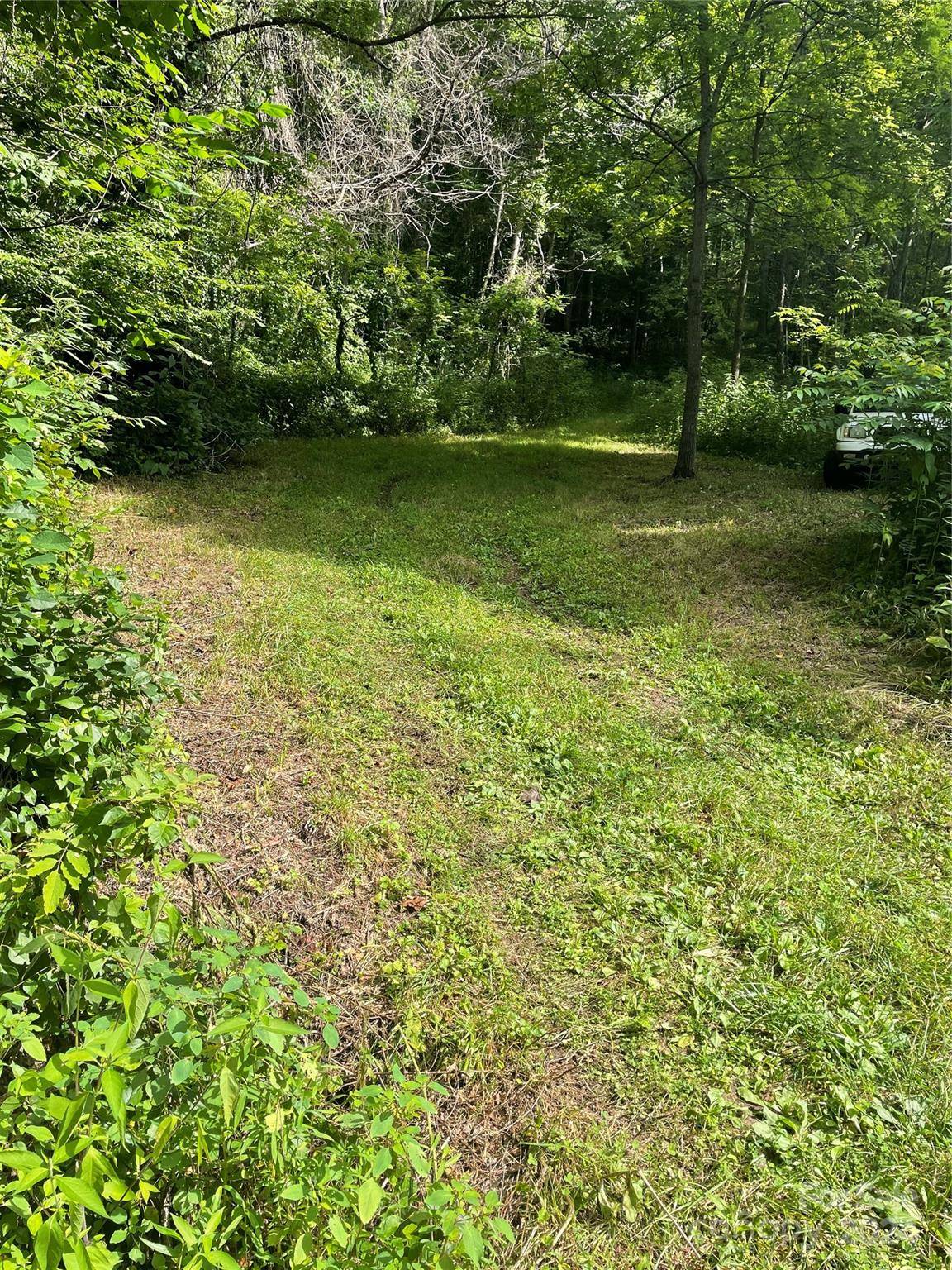 Barnardsville, NC 28709,0 Martins Creek RD