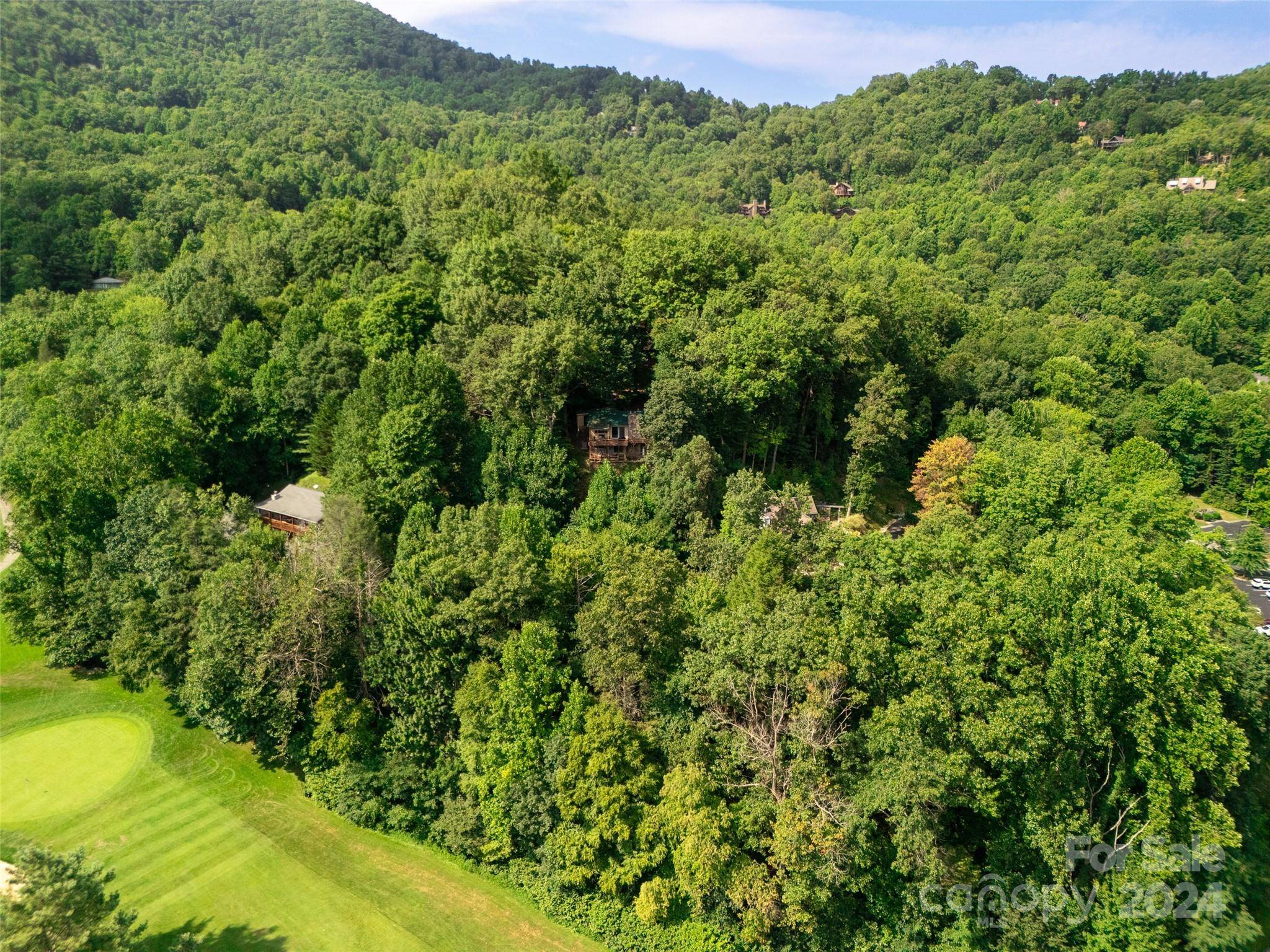 Maggie Valley, NC 28751,174 Pleasant Ridge DR