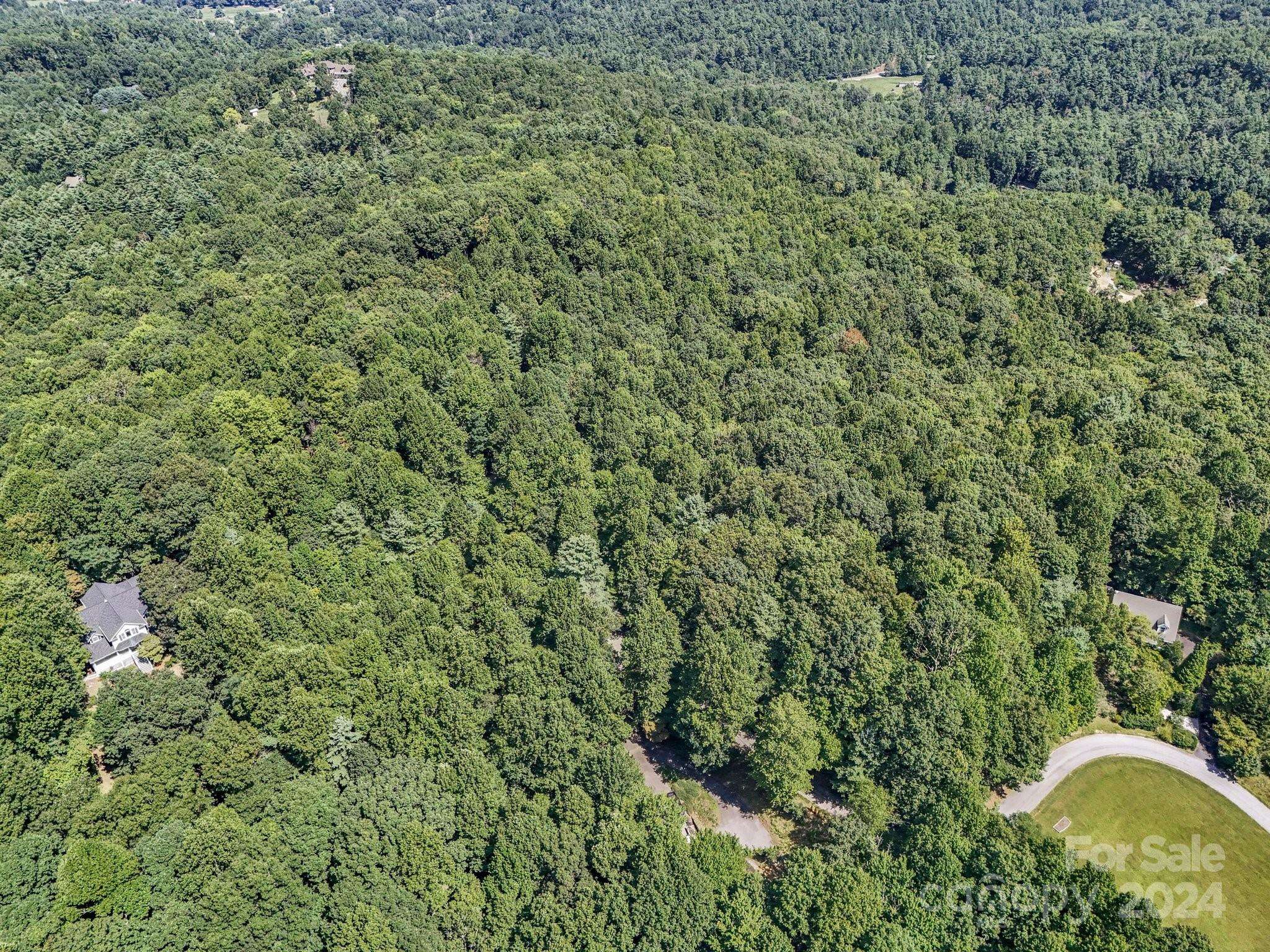 Hendersonville, NC 28739,SR1196-C Evans RD