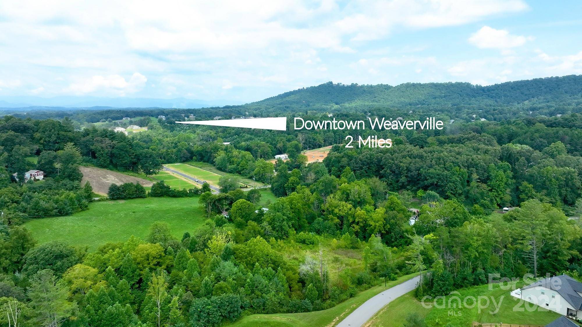 Weaverville, NC 28787,237 Water Leaf DR