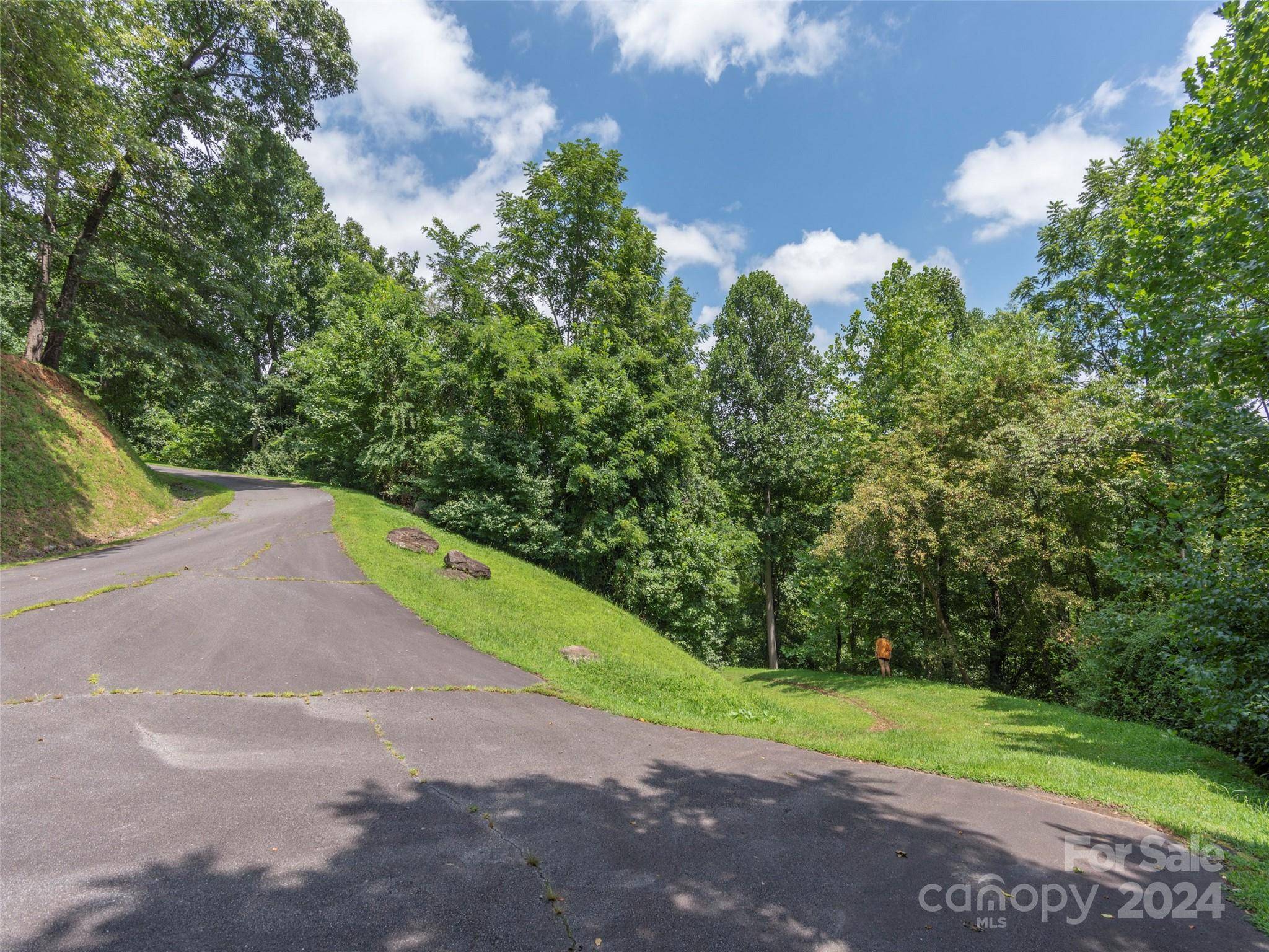 Waynesville, NC 28785,00 Campbell Mountain DR #Lots 116 & 117