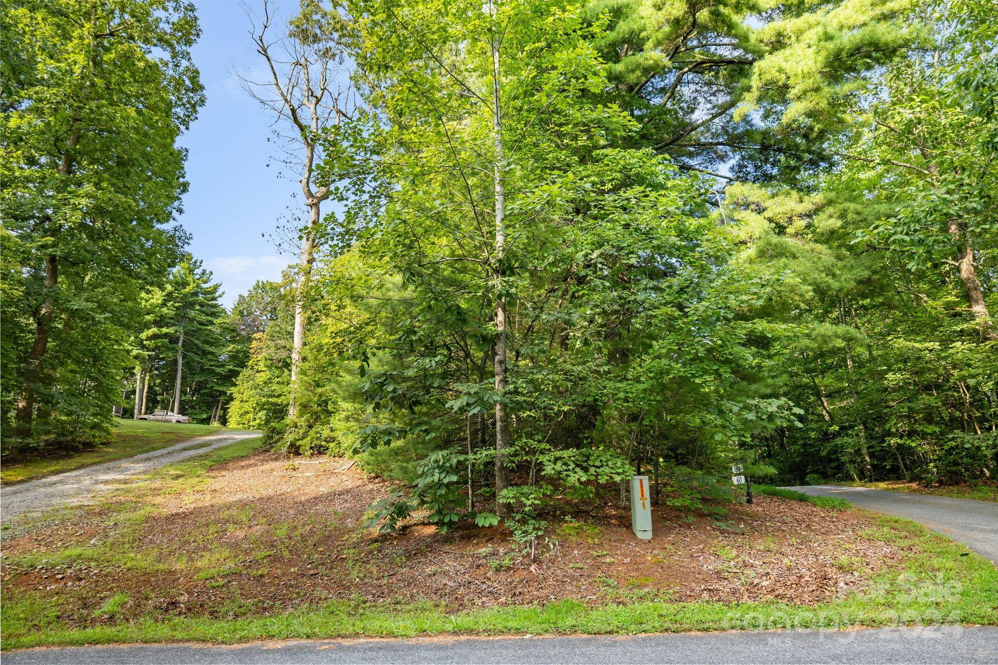 Saluda, NC 28773,000 Thad Johnson RD