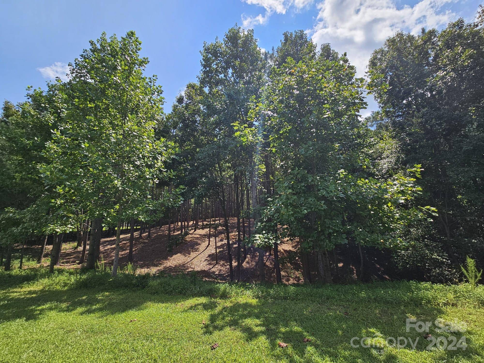 Stony Point, NC 28678,133 Oak Point LN