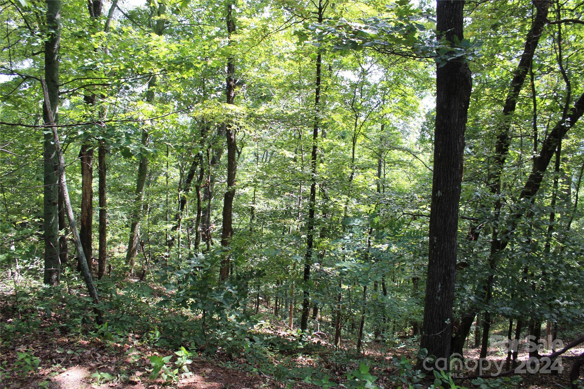 Bostic, NC 28018,000 Brighton DR