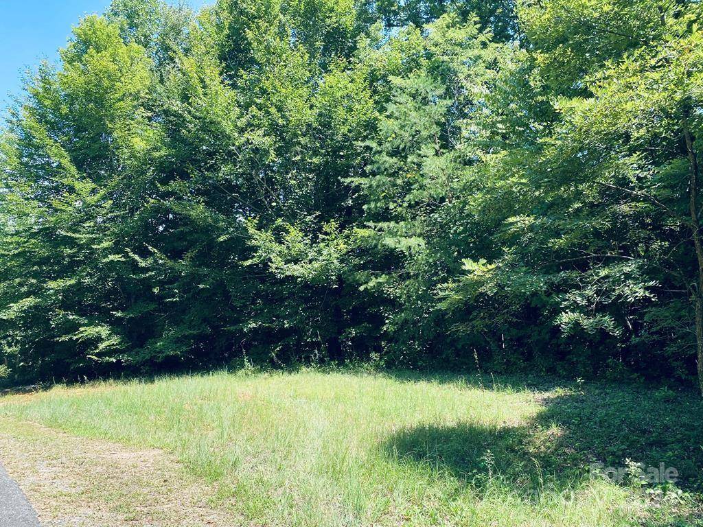 Whittier, NC 28789,Lot 21 Torwood LN