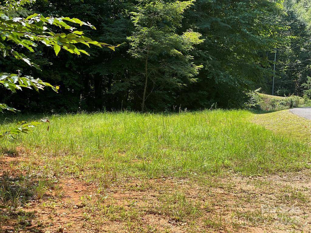 Whittier, NC 28789,Lot 21 Torwood LN