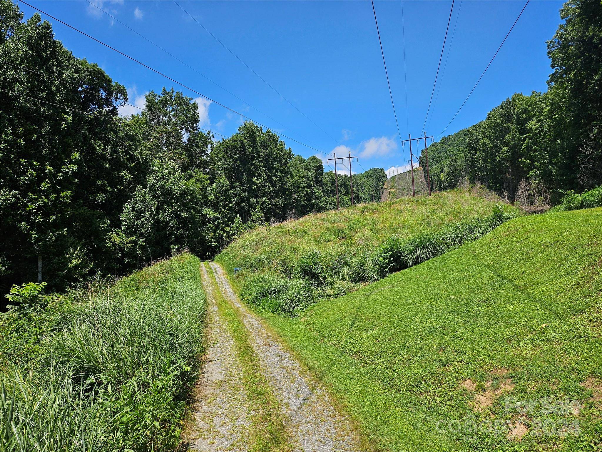 Black Mountain, NC 28711,0000 Sweetwood TRL