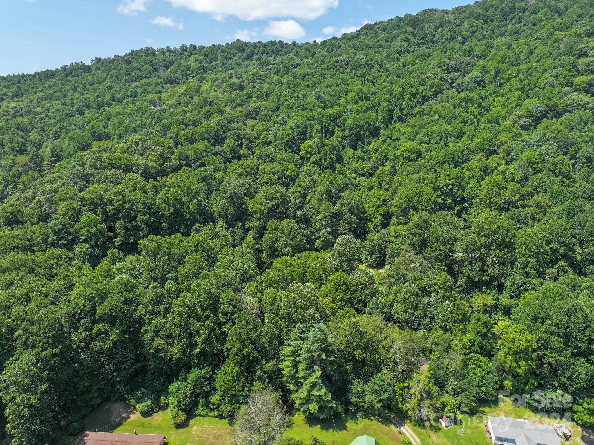 Spruce Pine, NC 28777,TBD Auther Autrey DR