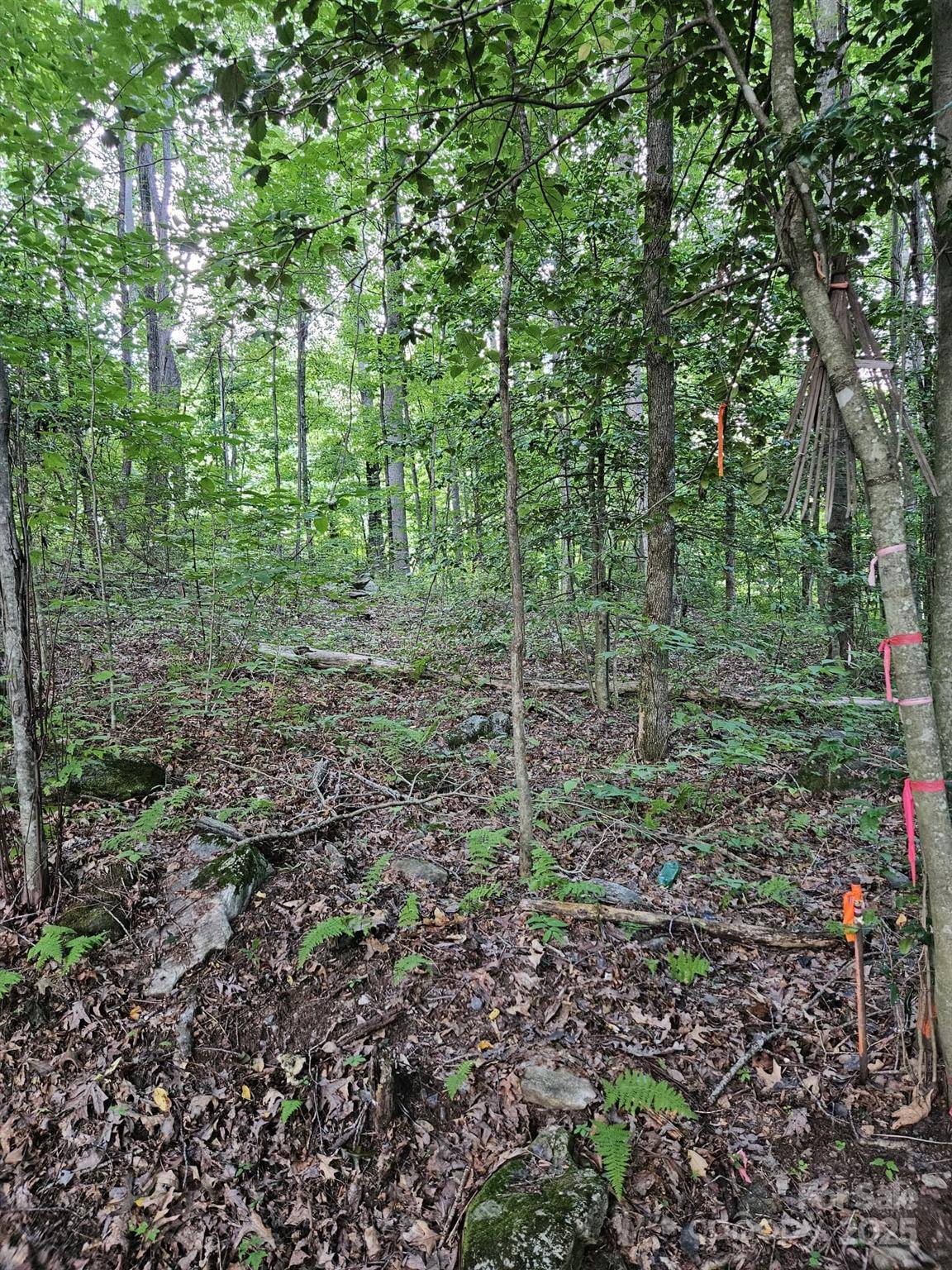 Maggie Valley, NC 28751,00 Hannah Hill RD #3
