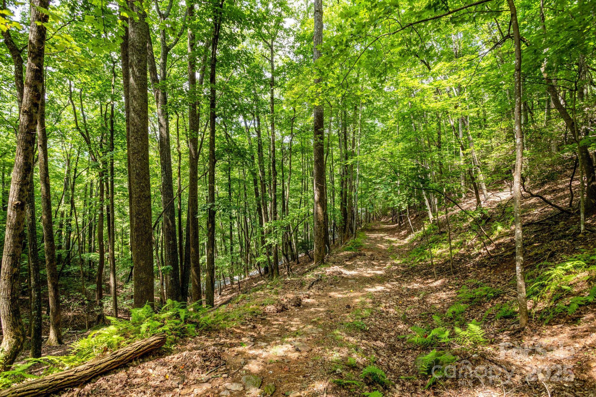 Mills River, NC 28759,40 Cedar DR
