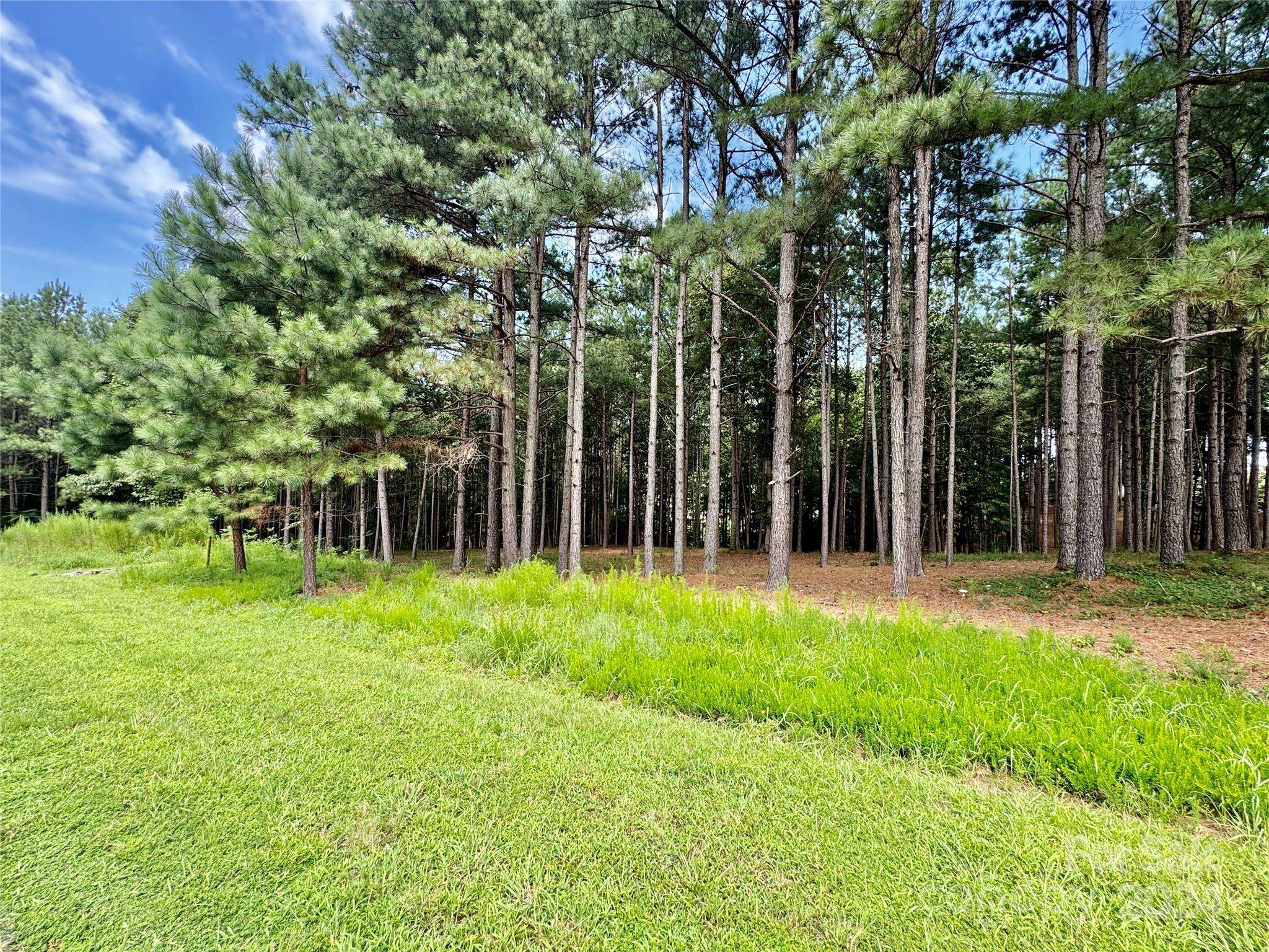 Stony Point, NC 28678,350 Gardner Point DR
