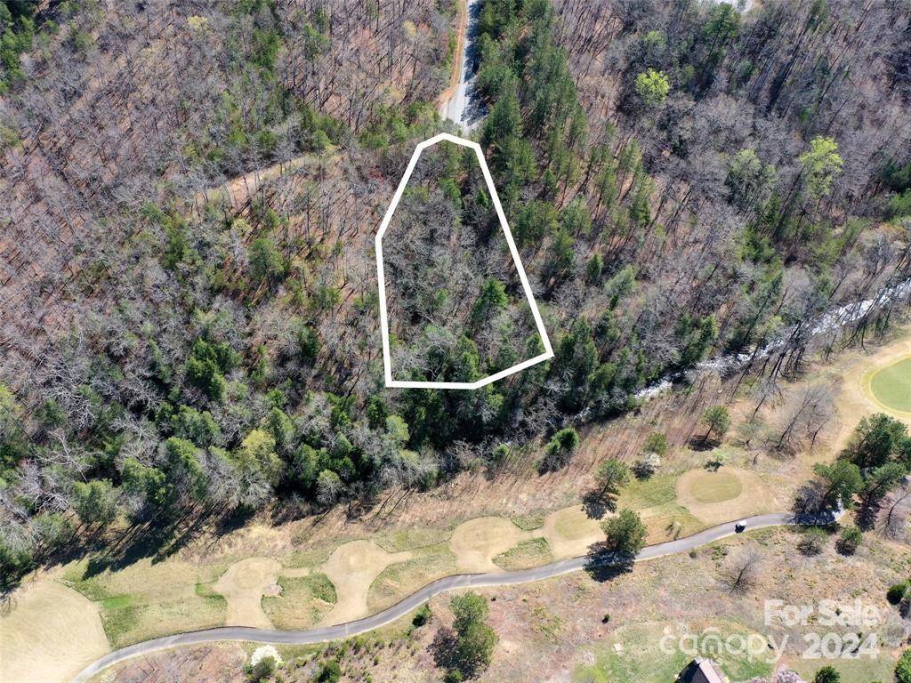 Mill Spring, NC 28756,25 Monteith PL