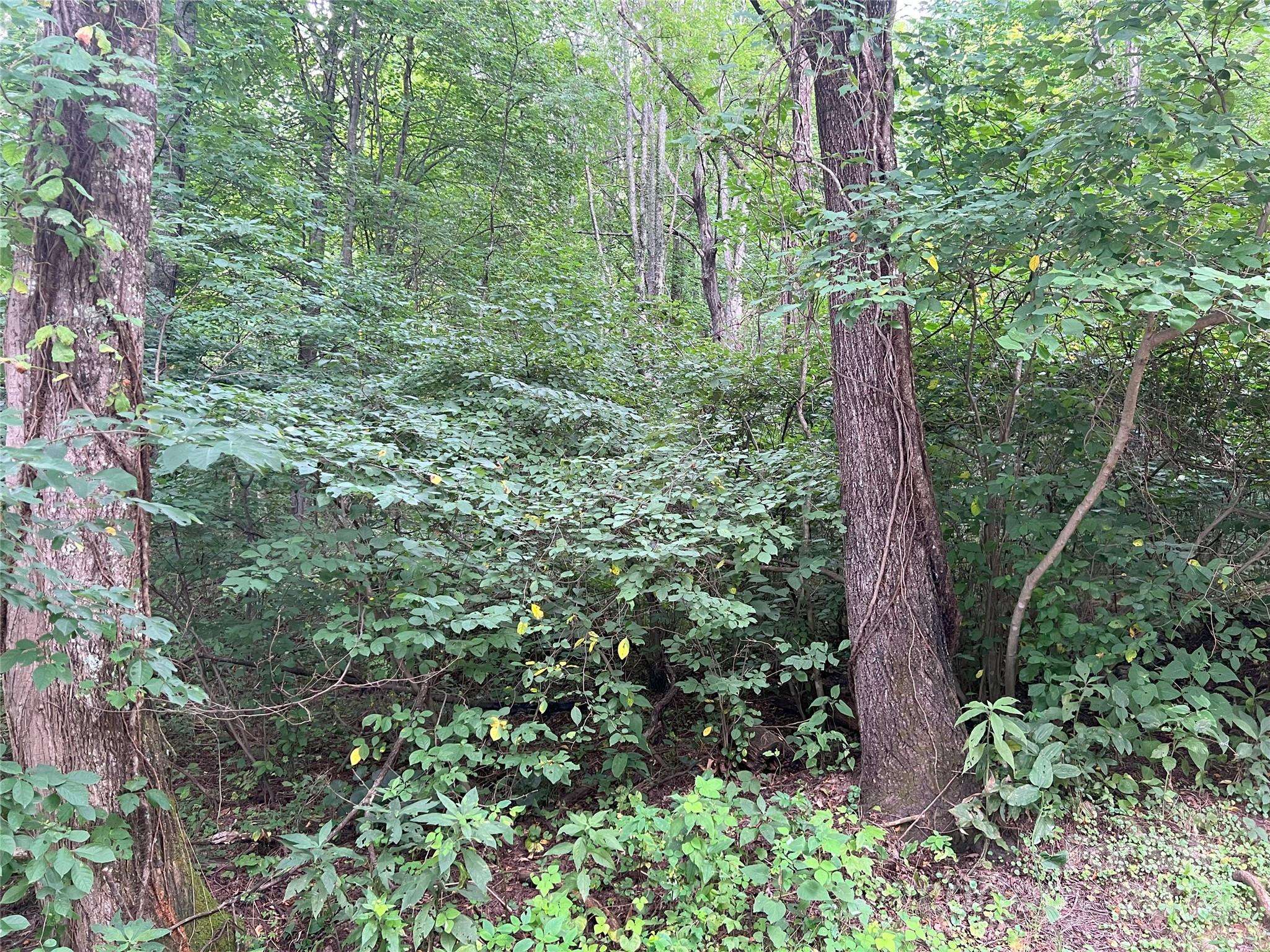Waynesville, NC 28785,123 Live Oak LOOP