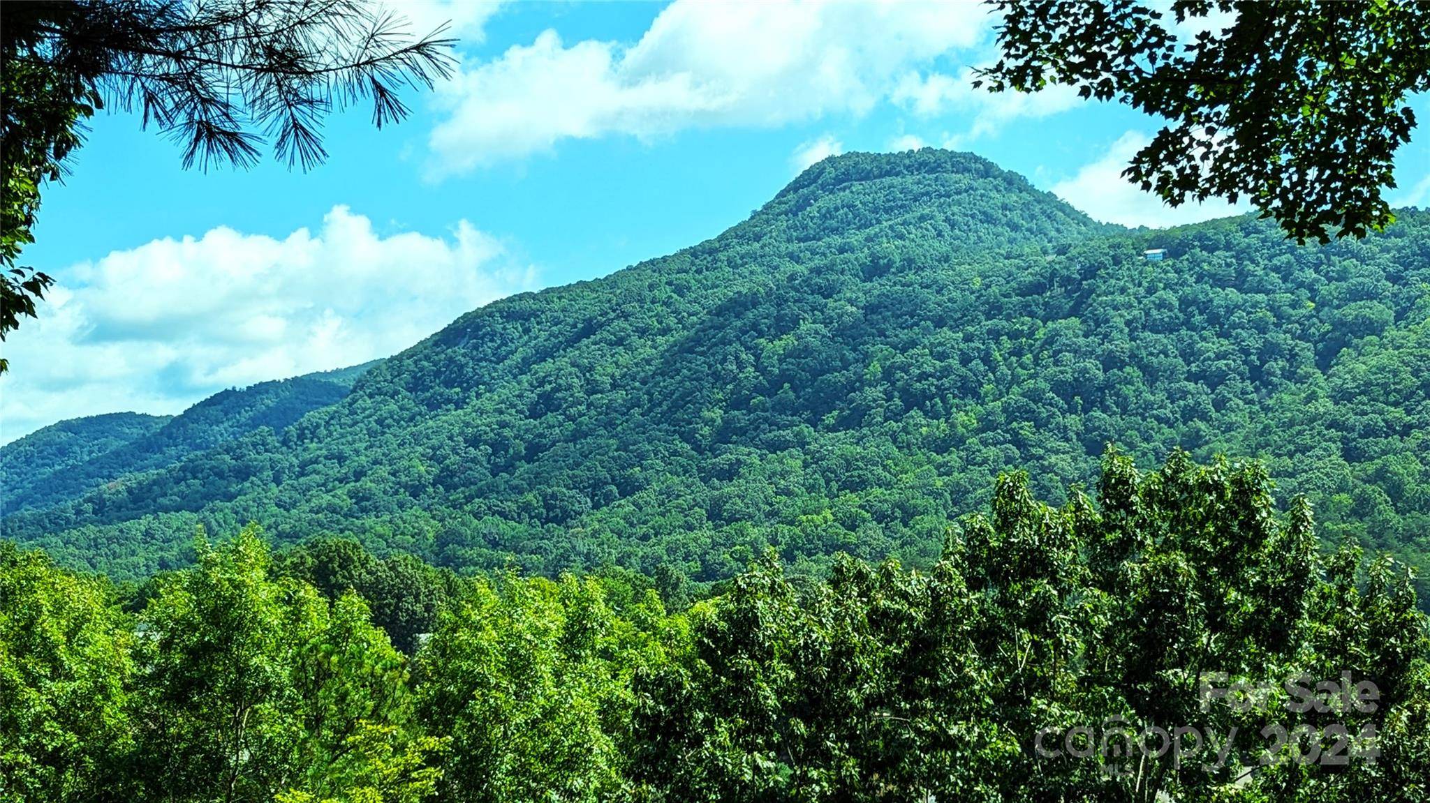 Lake Lure, NC 28746,285 Watership RD