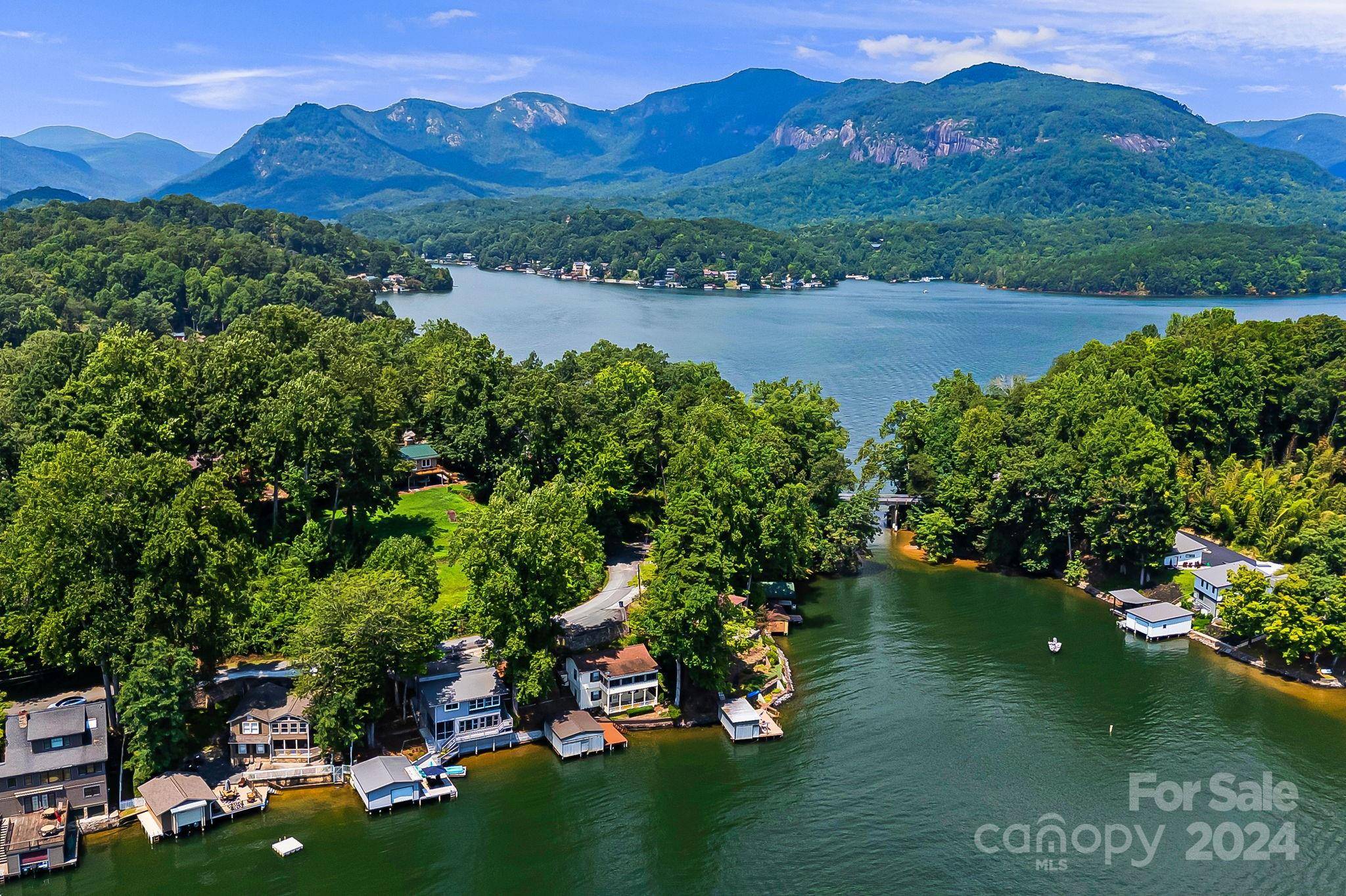 Lake Lure, NC 28746,462 Charlotte DR