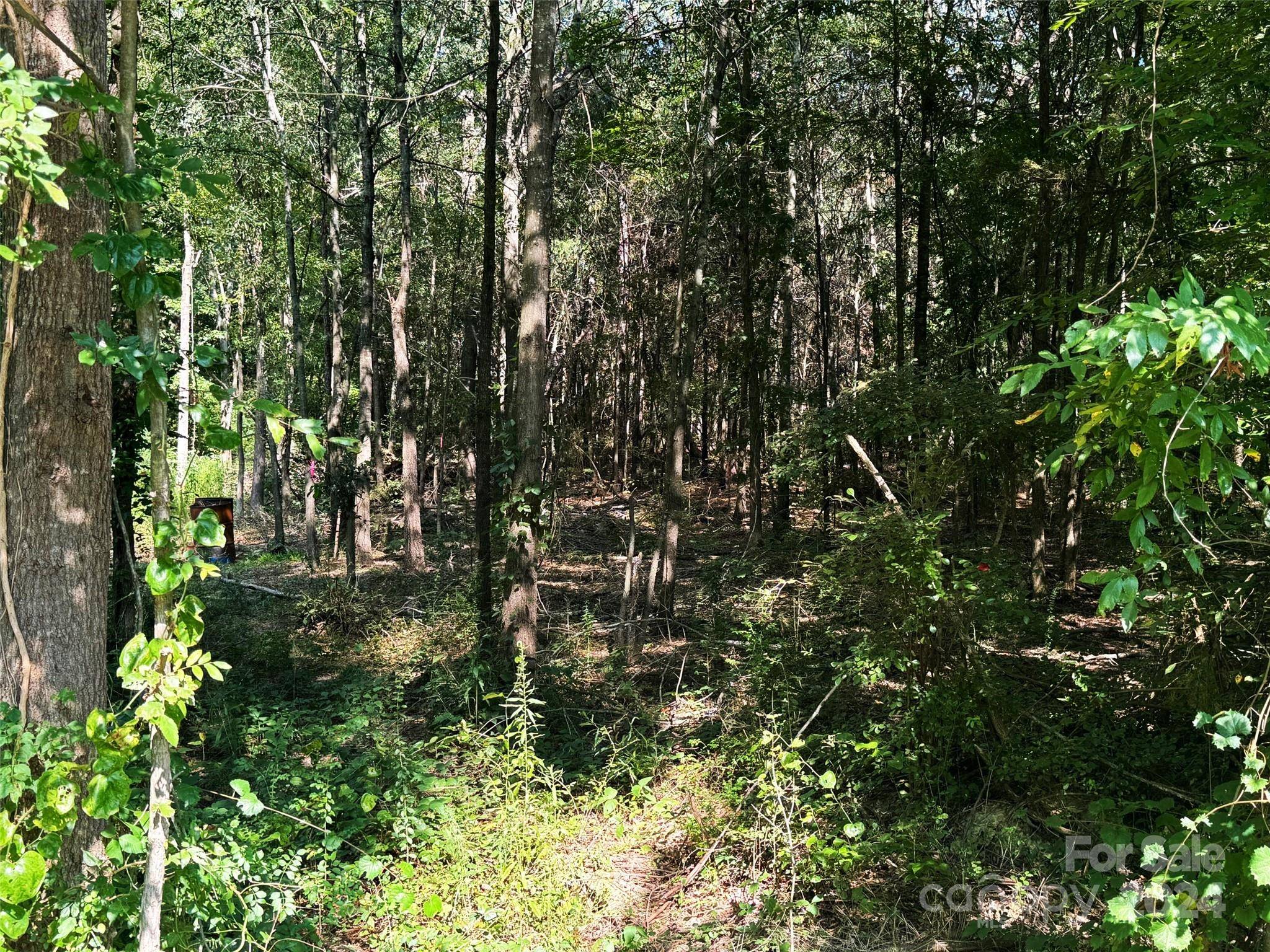 Marshville, NC 28103,Lot 11 Jenkins RD