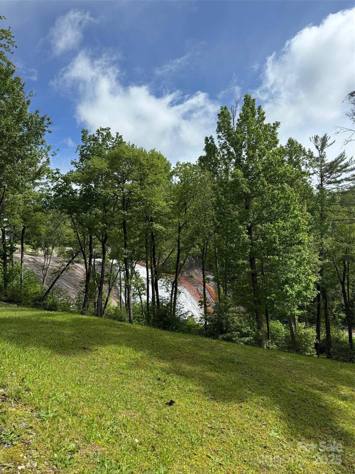 Lake Toxaway, NC 28747,30 Lower Tanglewood RD E #1