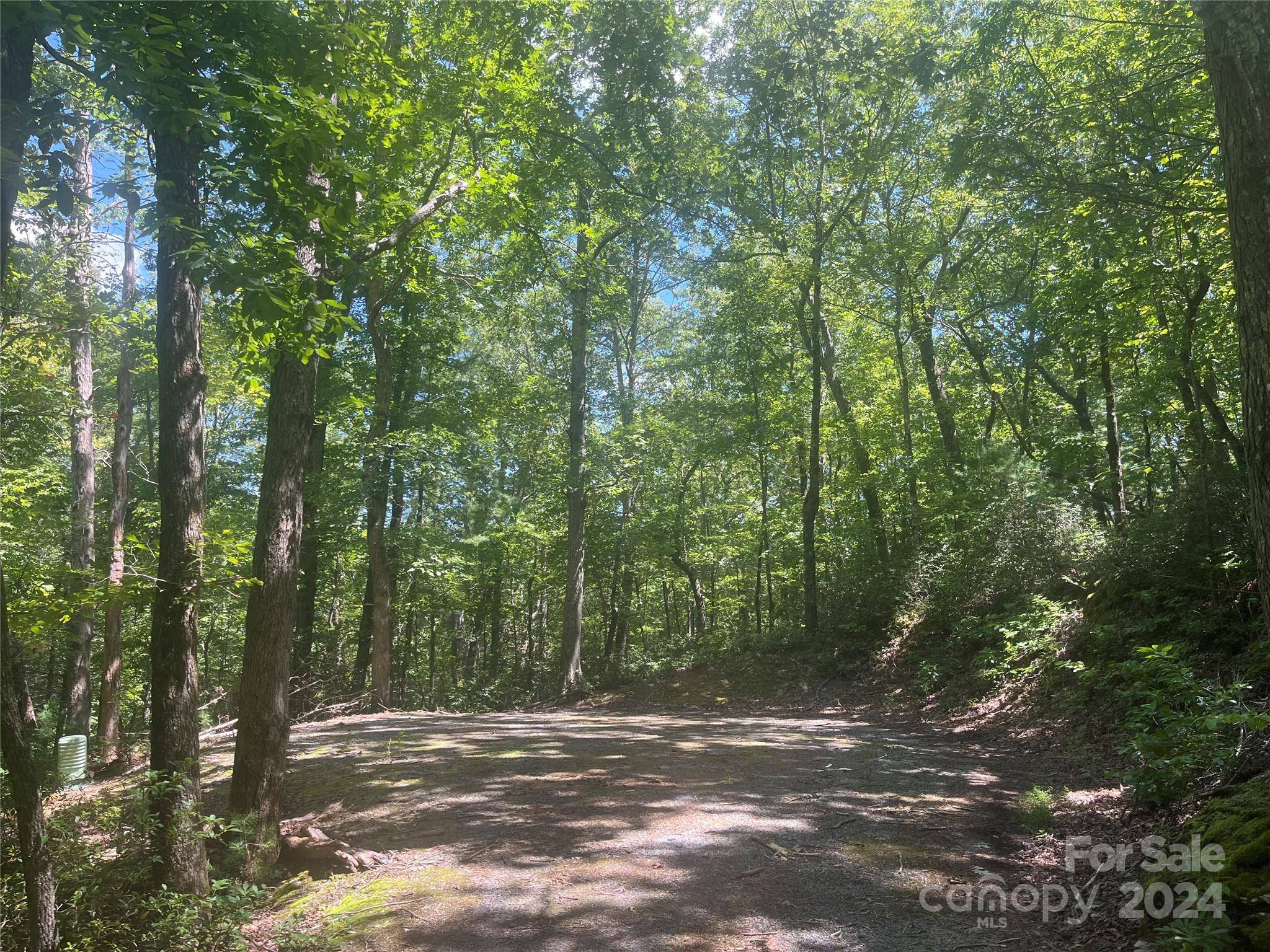 Lake Lure, NC 28746,0 Mintwood CT #11