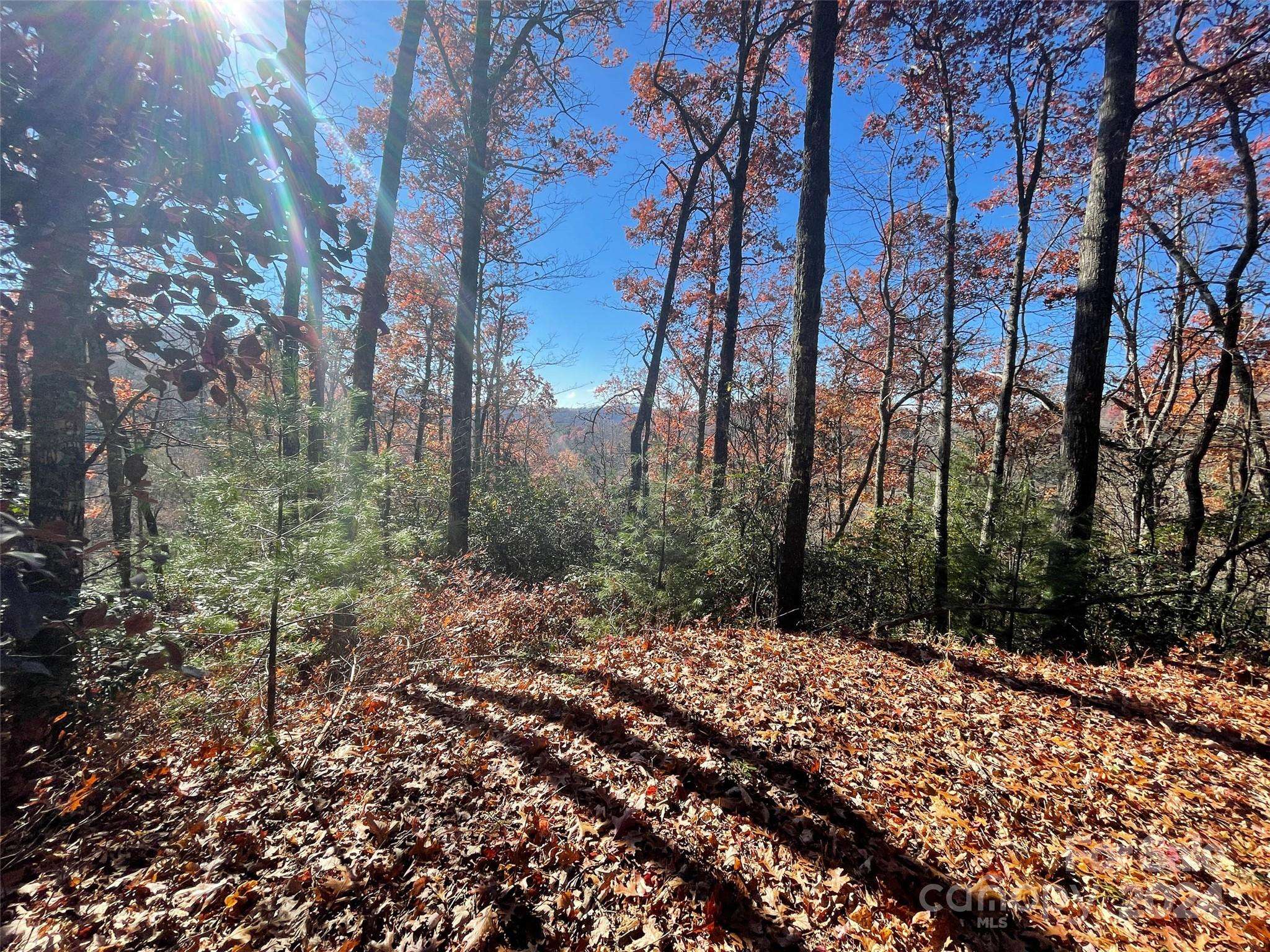 Brevard, NC 28712,Lot 134 Green Hollow LN #134