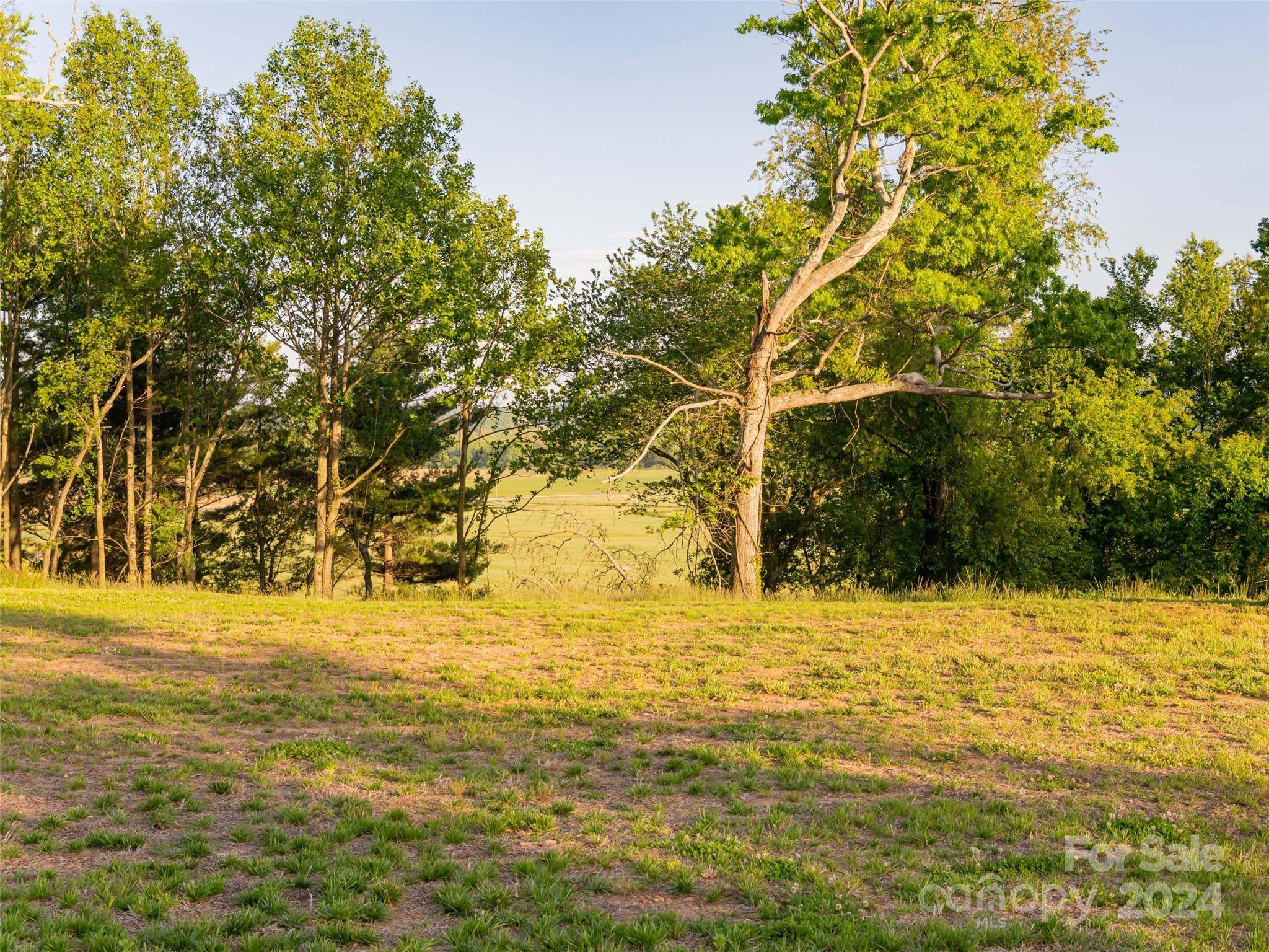 Mills River, NC 28759,227 Pisgah Ridge TRL #Lot# 32