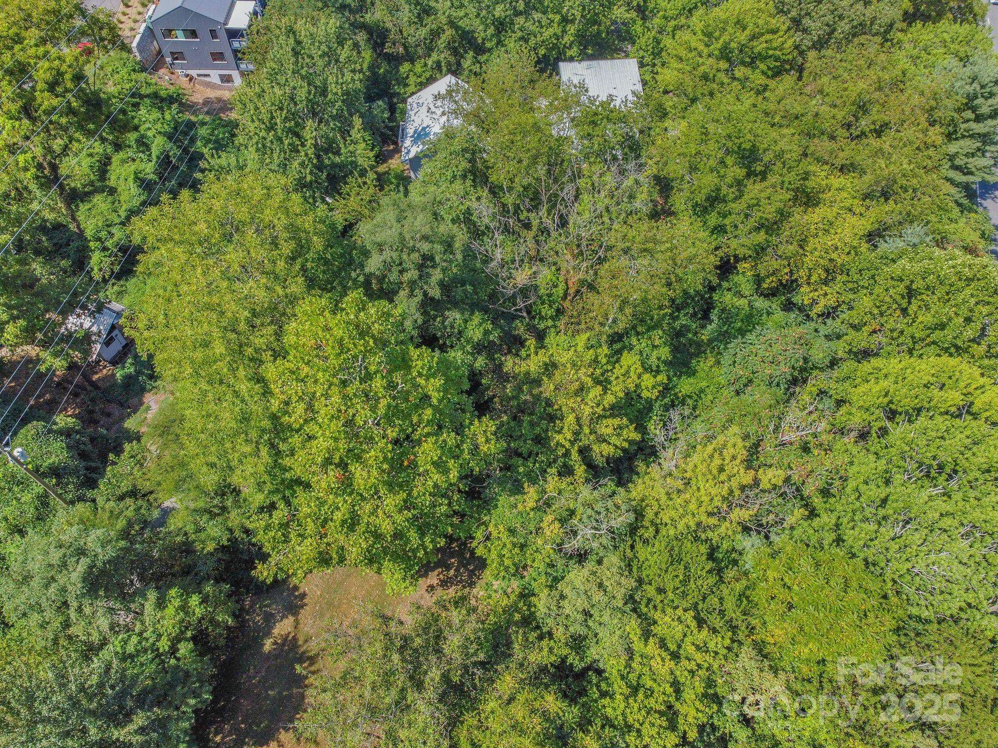 Asheville, NC 28801,5 Club ST