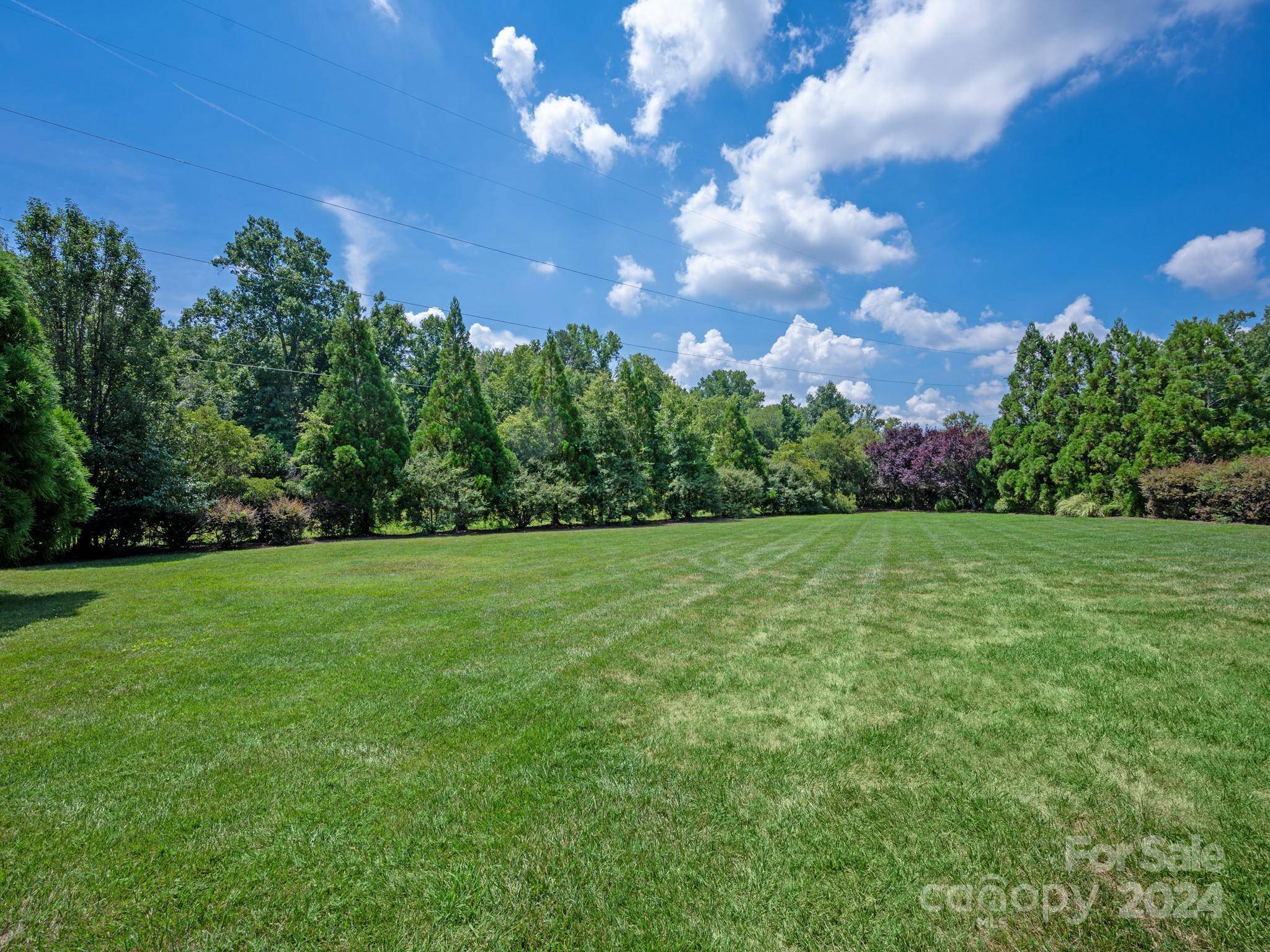 Waxhaw, NC 28173,407 Creeping Cedar CT