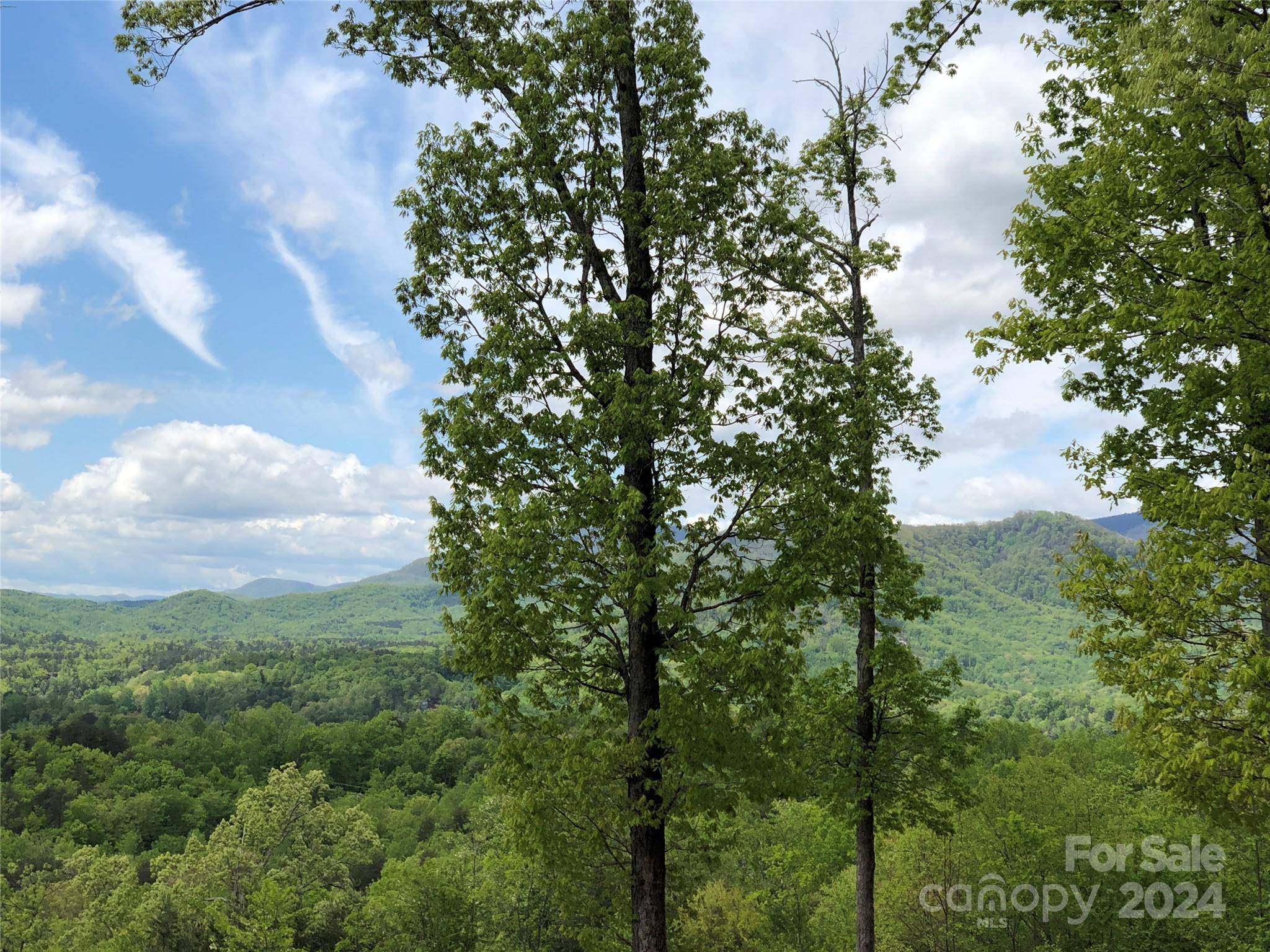 Lake Lure, NC 28746,0 High Rock RDG #Lot 22