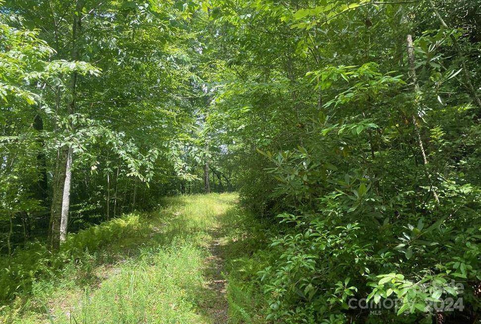 Rosman, NC 28772,Lot 114 Pickens HWY