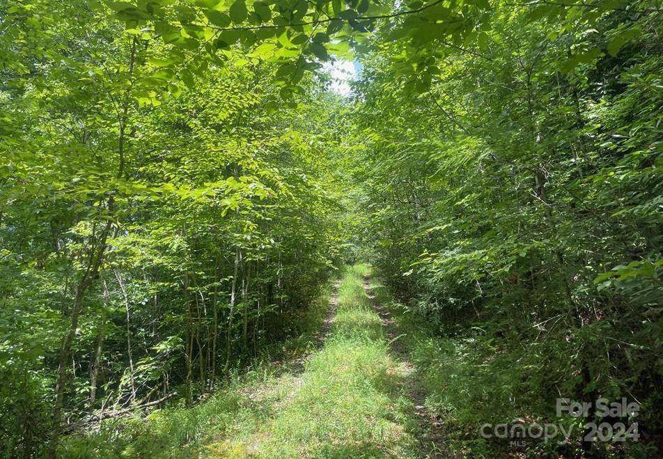 Rosman, NC 28772,Lot 114 Pickens HWY