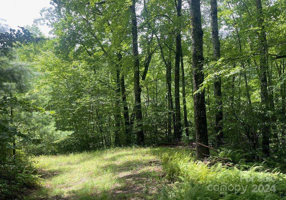 Rosman, NC 28772,Lot 114 Pickens HWY