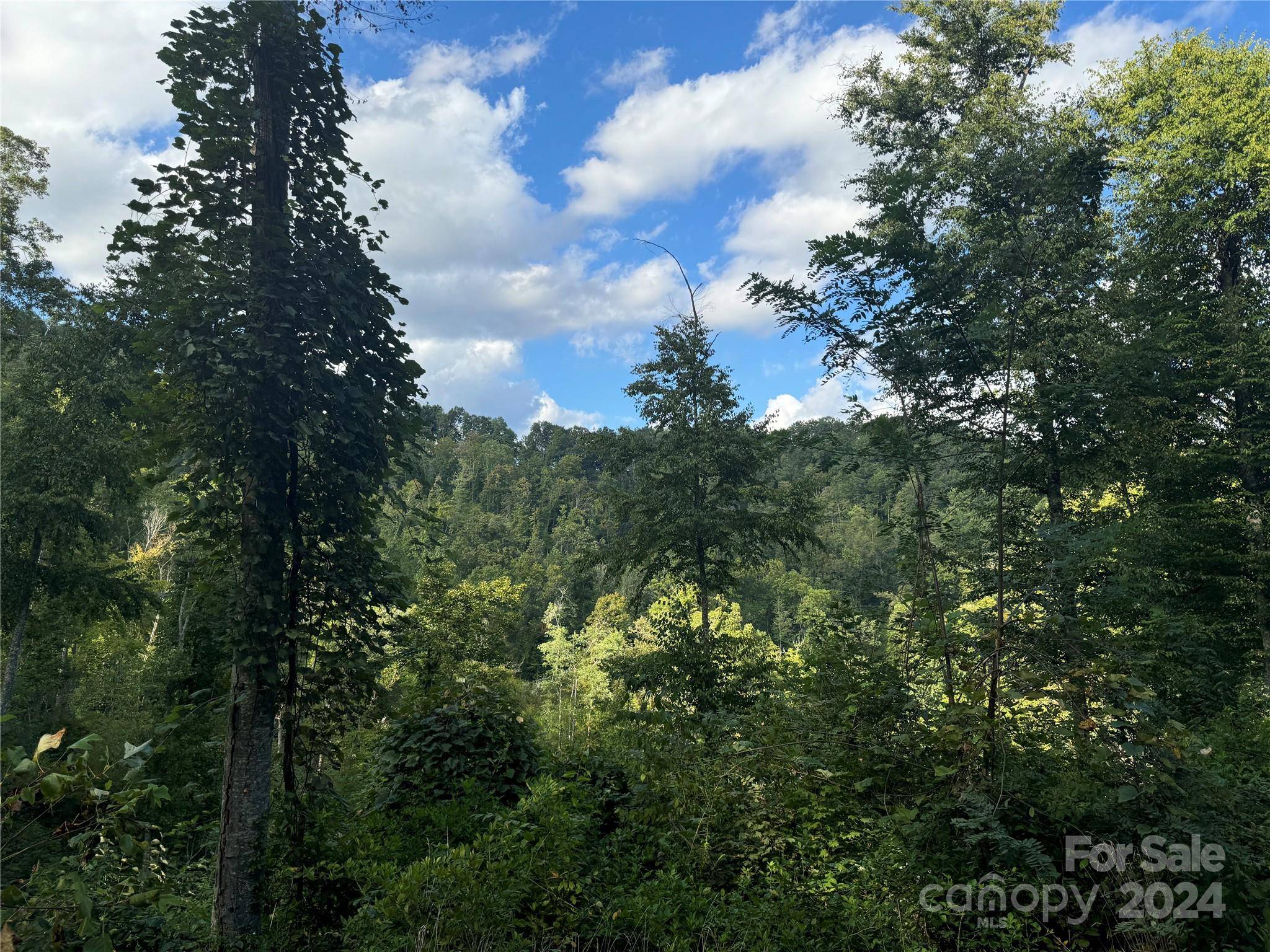 Waynesville, NC 28785,000 Settlers LN