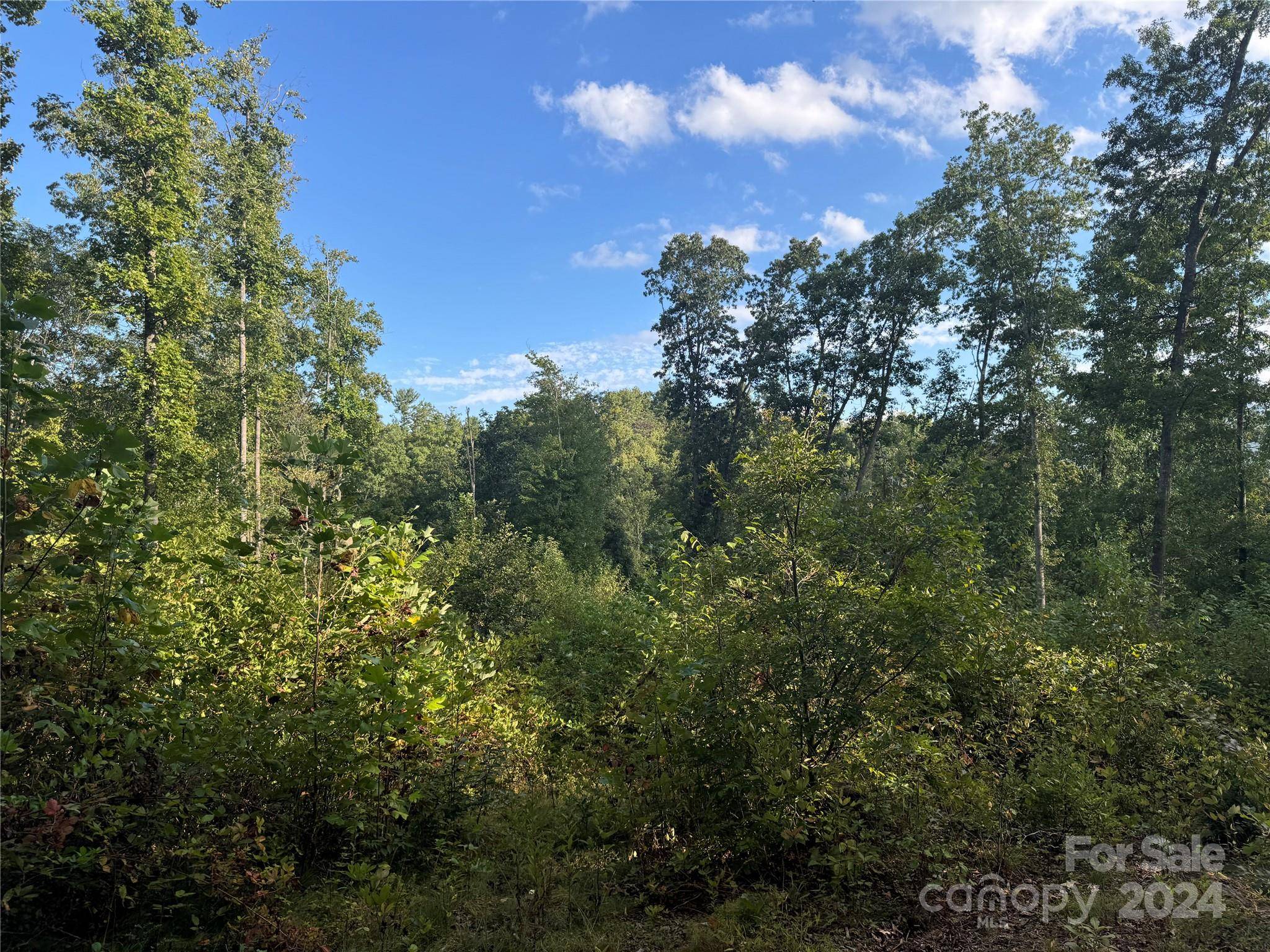 Waynesville, NC 28785,000 Settlers LN