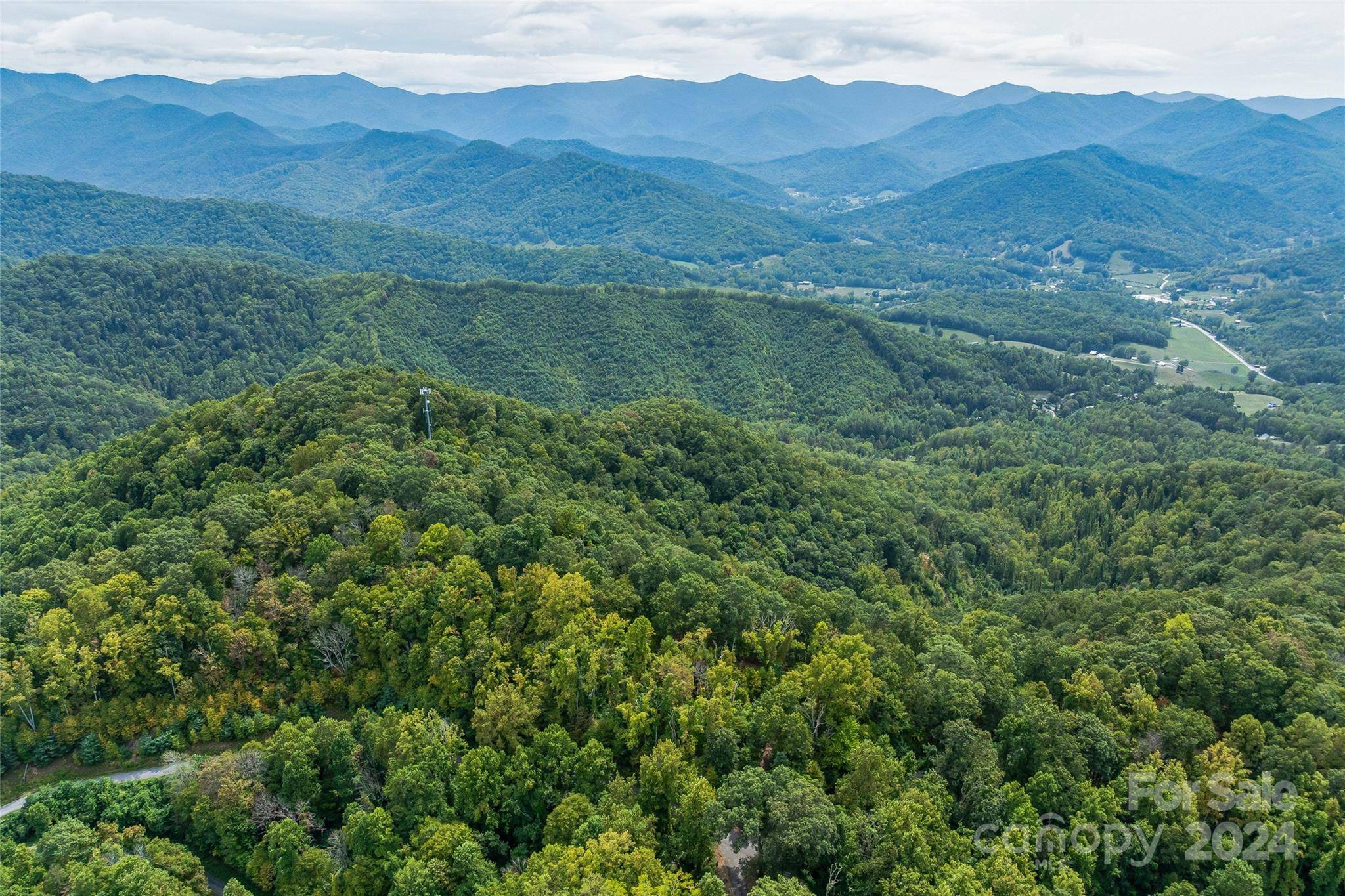 Weaverville, NC 28787,1380 Seven Glens DR