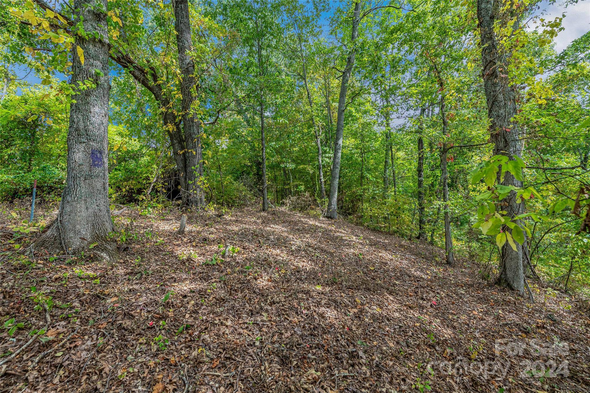 Weaverville, NC 28787,1380 Seven Glens DR