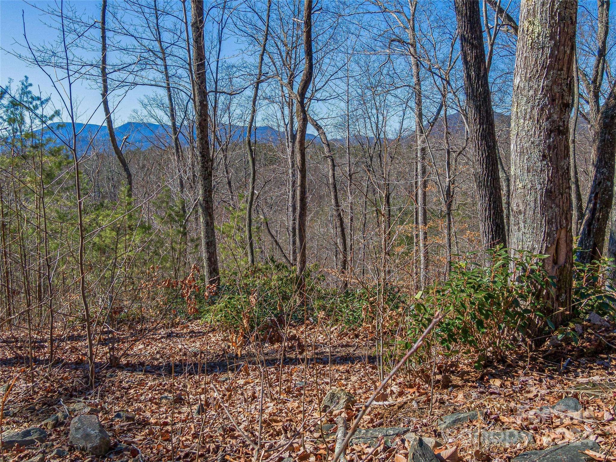 Columbus, NC 28722,0000 Holland DR #40 & 41