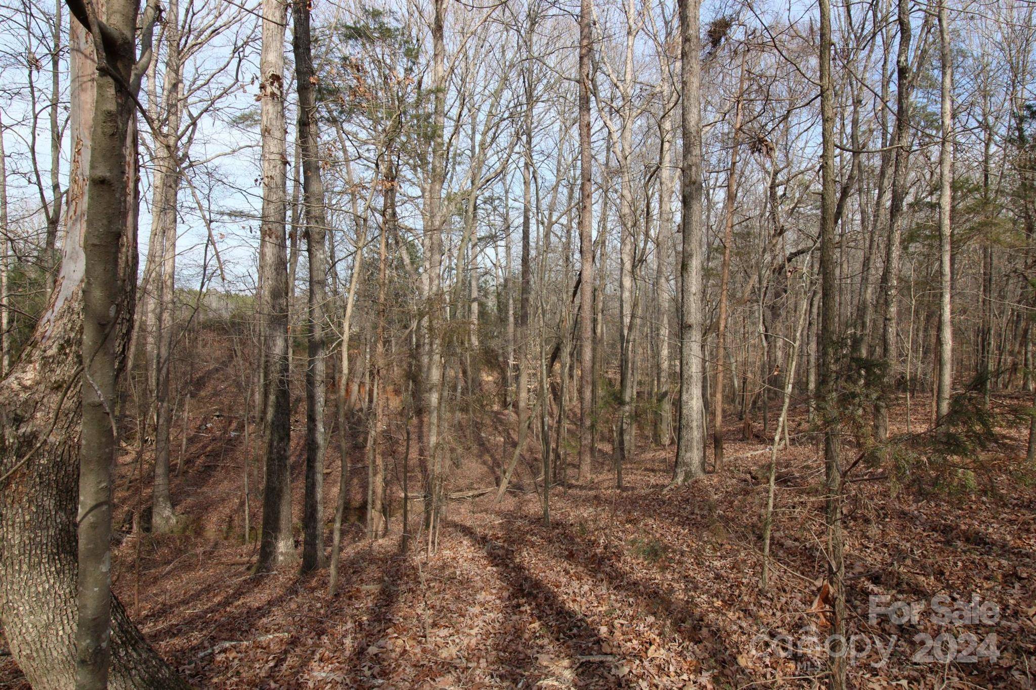 Chester, SC 29706,17+/- AC Quinn RD