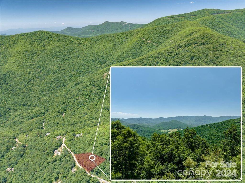 Black Mountain, NC 28711,37 Wedgewood TER #1103