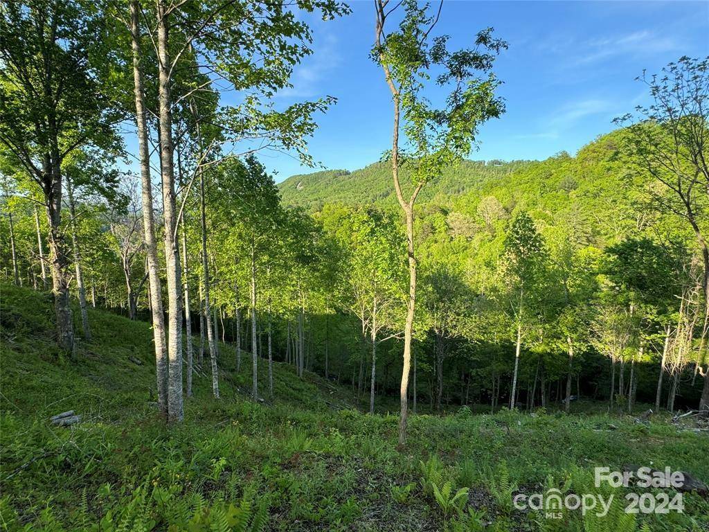 Hendersonville, NC 28792,TBD Waterfall Ridge DR #5