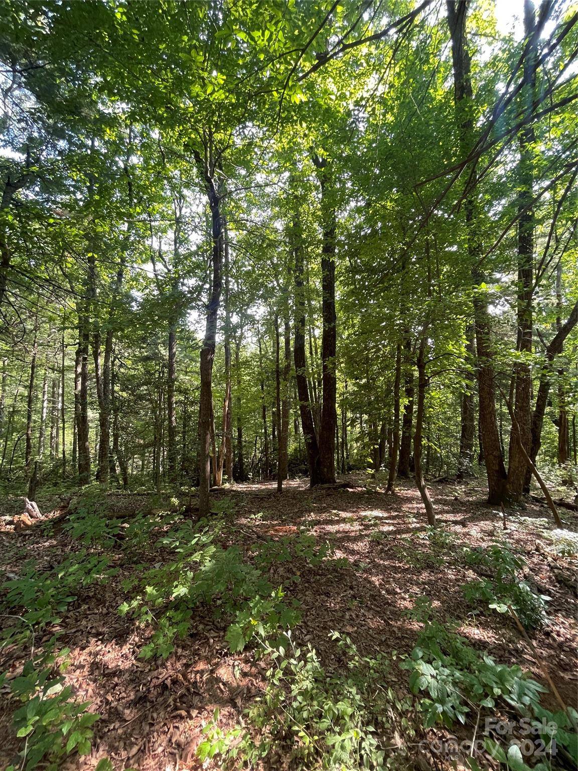 Flat Rock, NC 28731,Lot # 21 Haverhill CT #21