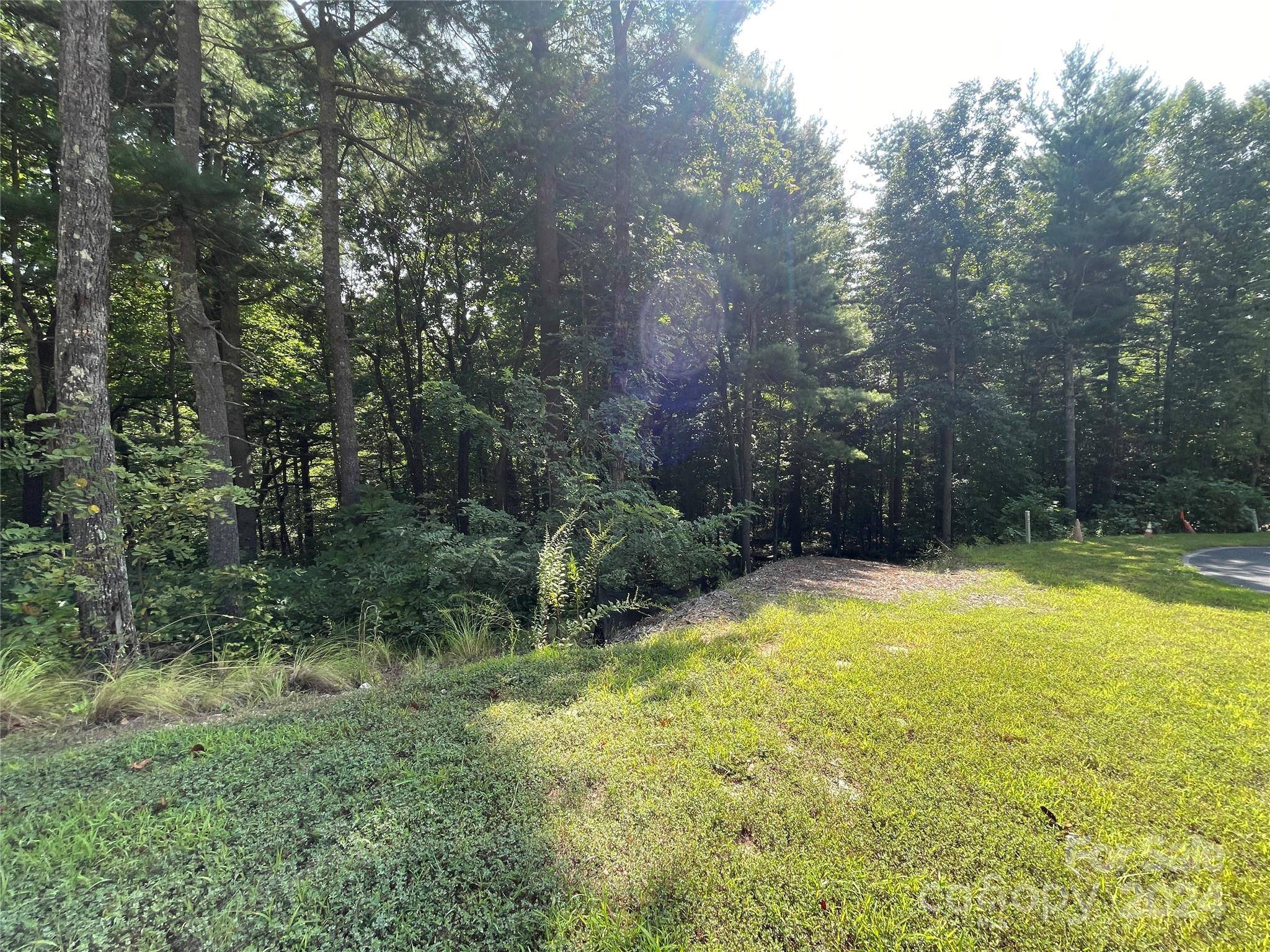 Flat Rock, NC 28731,Lot # 21 Haverhill CT #21