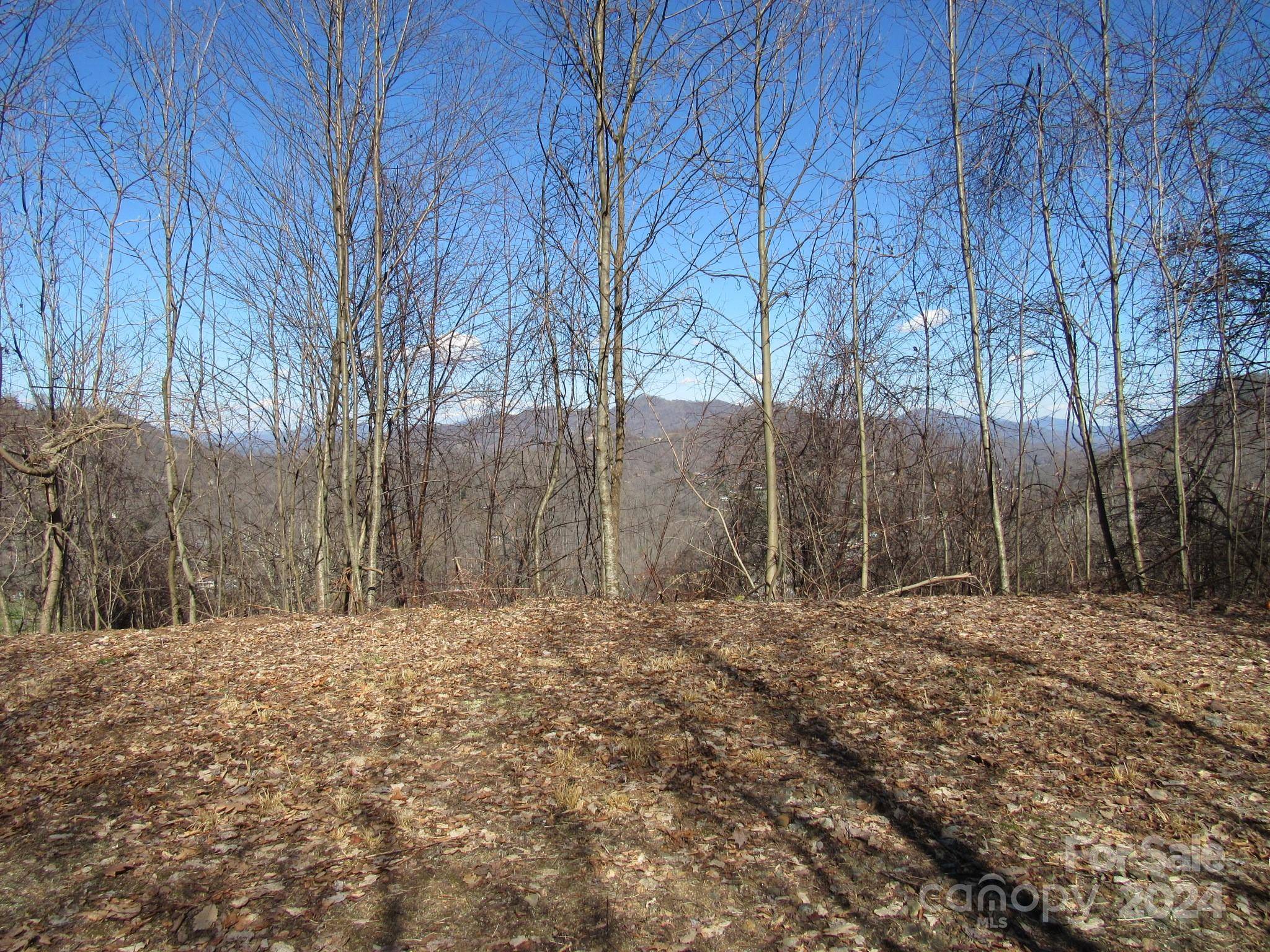 Maggie Valley, NC 28751,Lot #25 Appalachian TRL