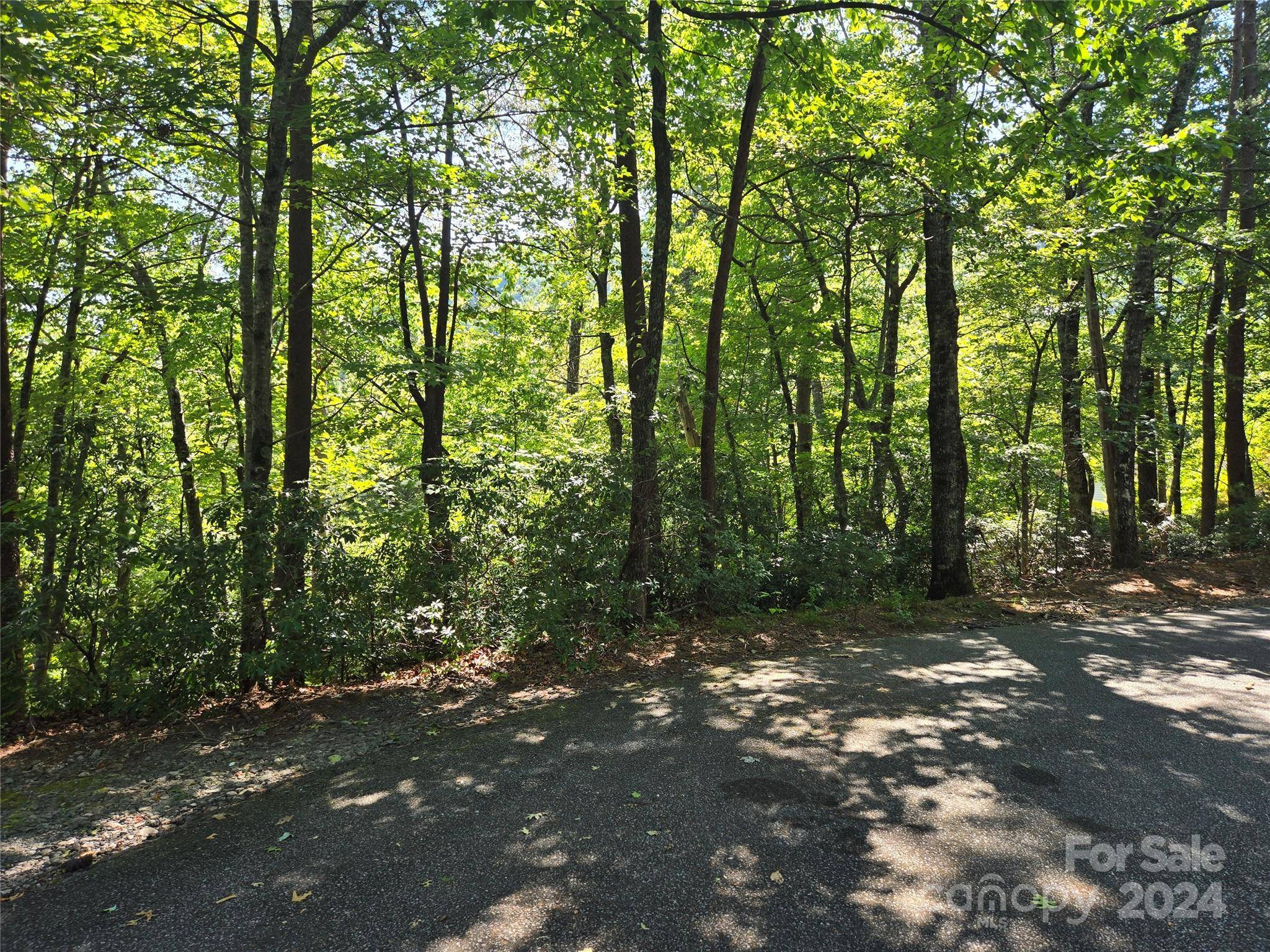 Lake Lure, NC 28746,Lot 152 Sullivan LN