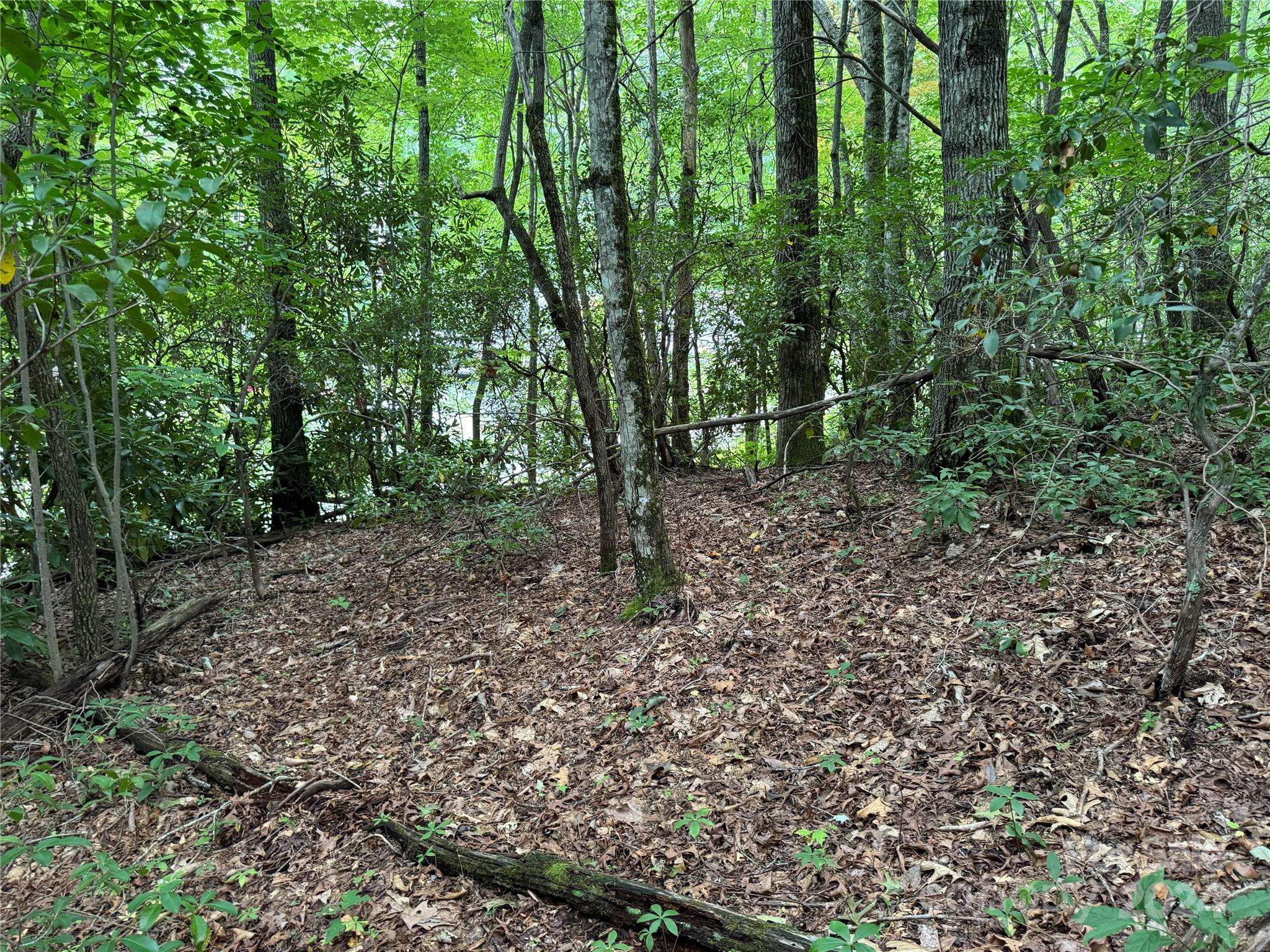 Maggie Valley, NC 28751,000 Sheepback Mountain RD