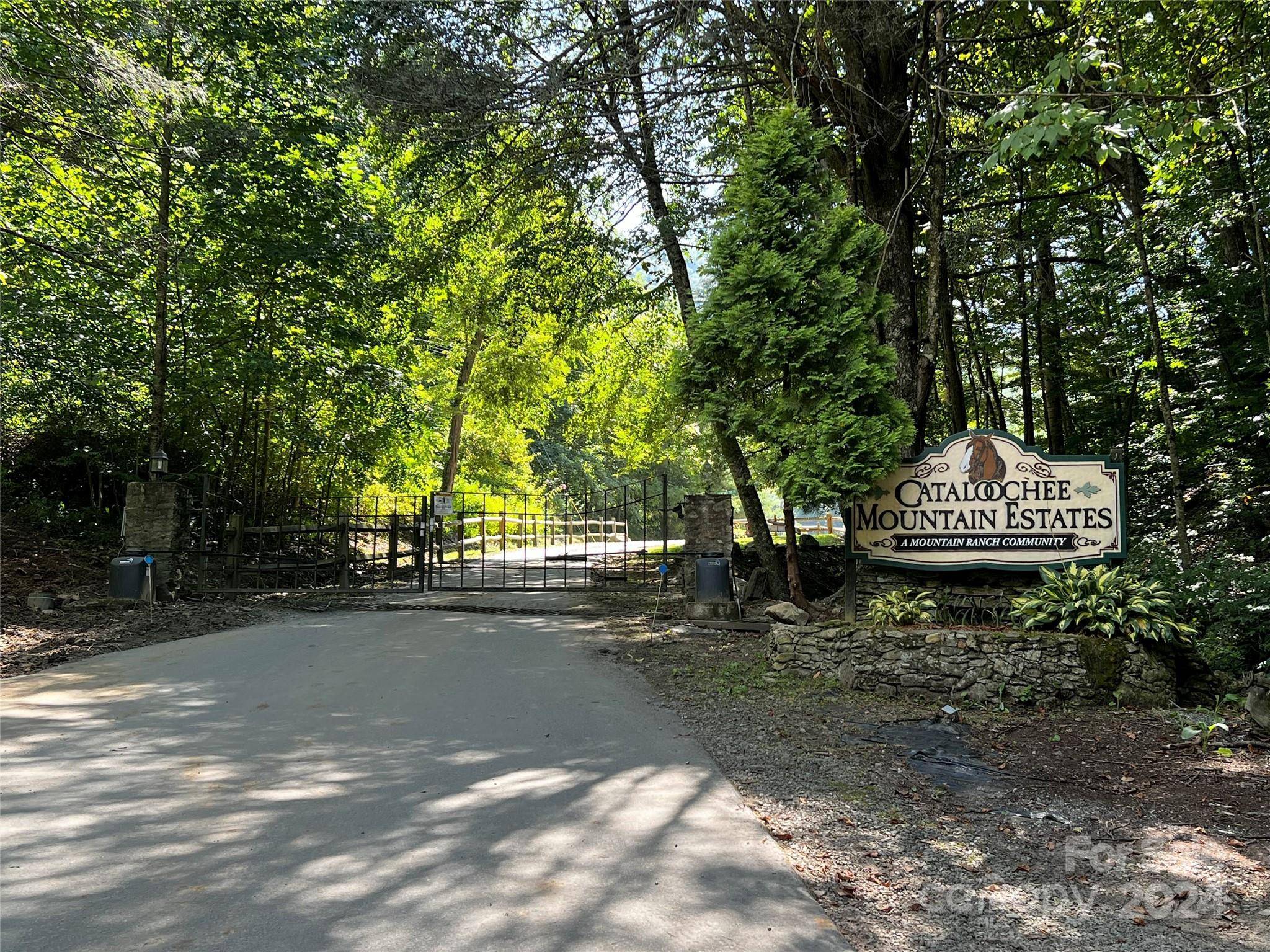 Waynesville, NC 28785,Lot 515 Curry Comb TRL