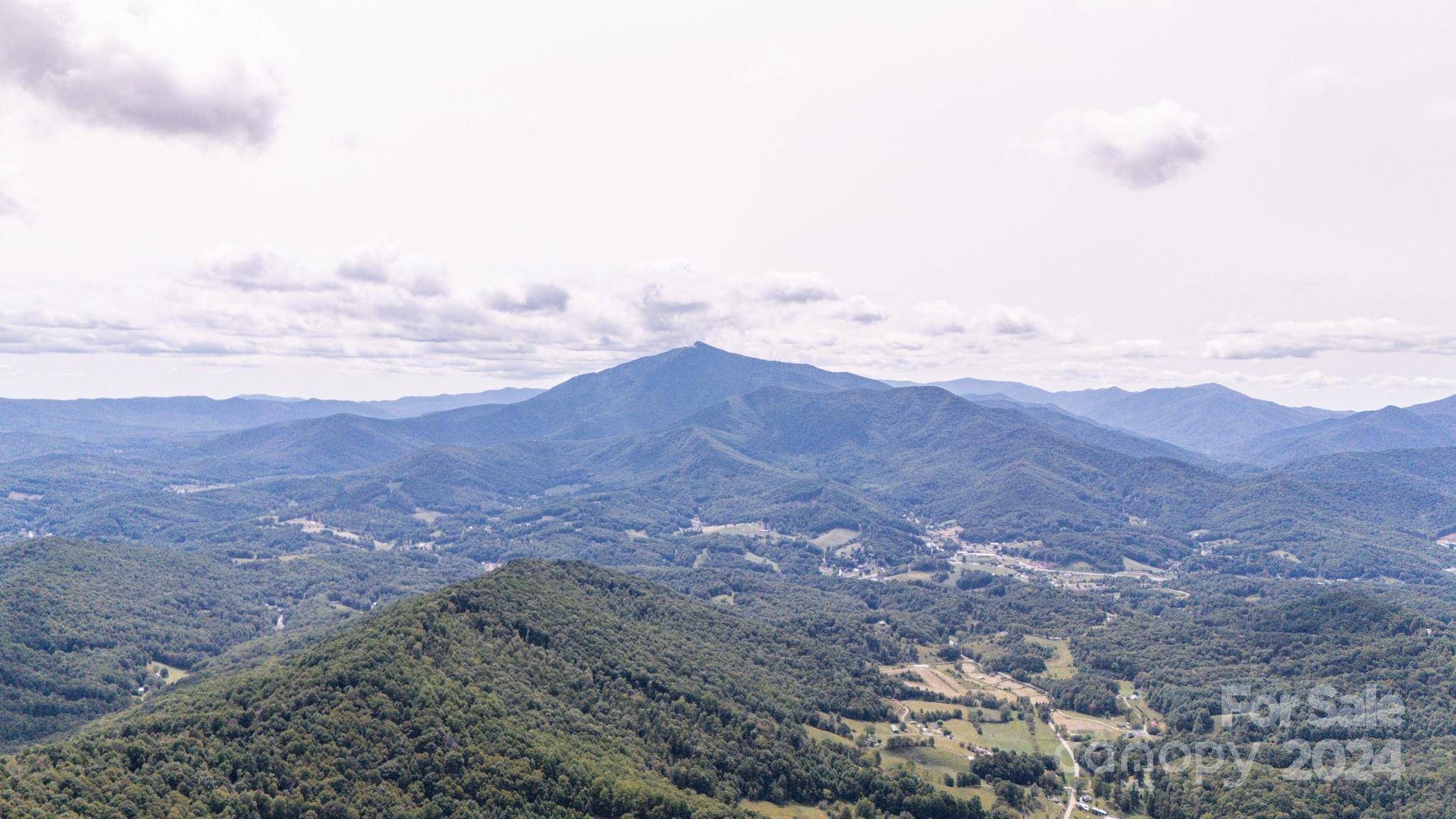 Green Mountain, NC 28740,9999 Shoal Creek RD