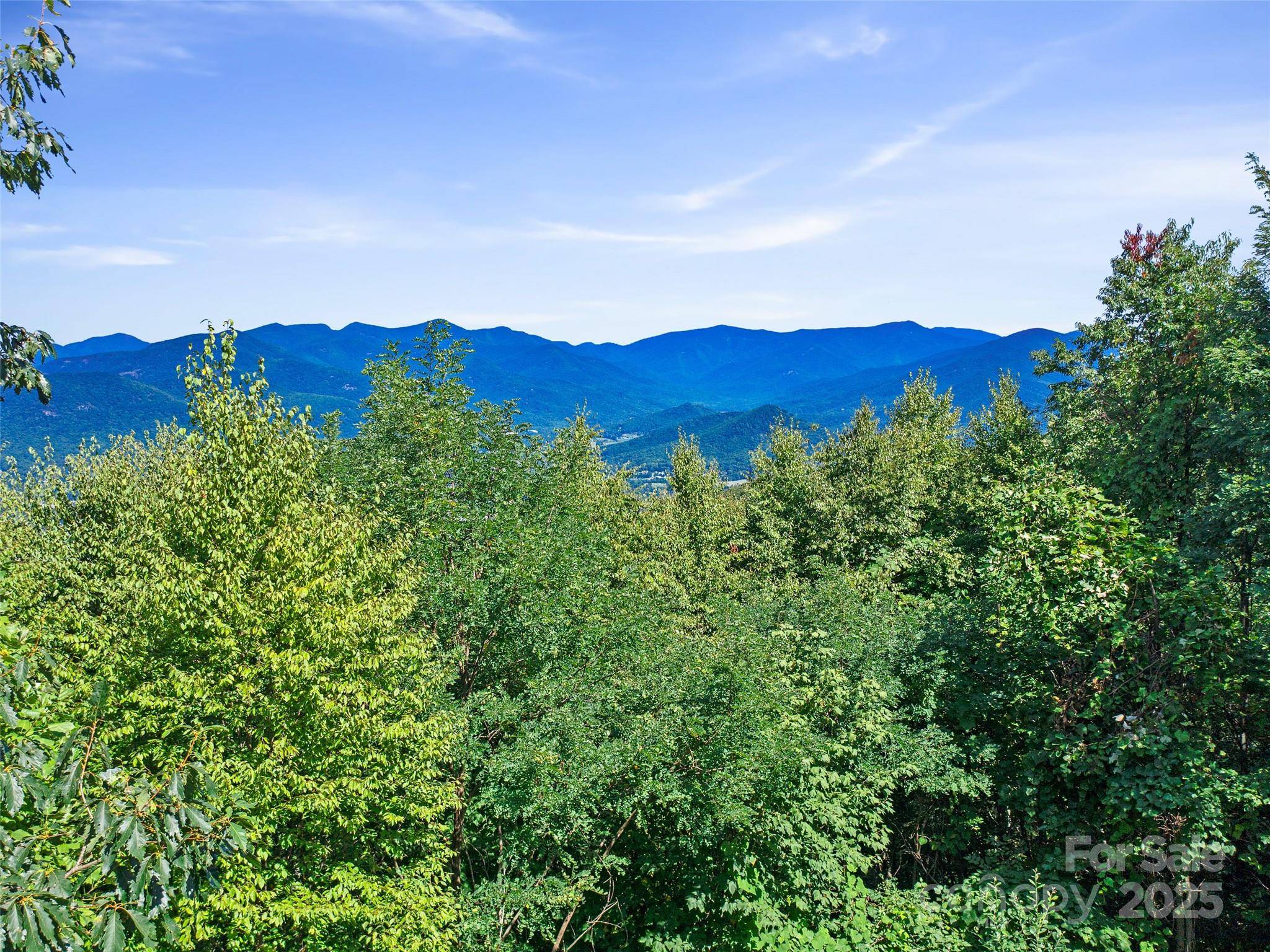 Swannanoa, NC 28778,4.8 Acres Mountain Lily Ridge DR