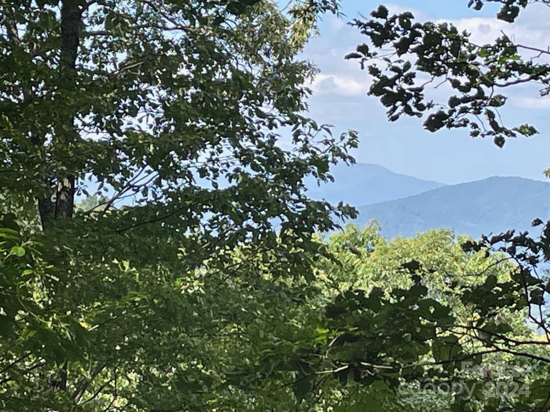 Sylva, NC 28779,Lot 176, 176 Reach RD